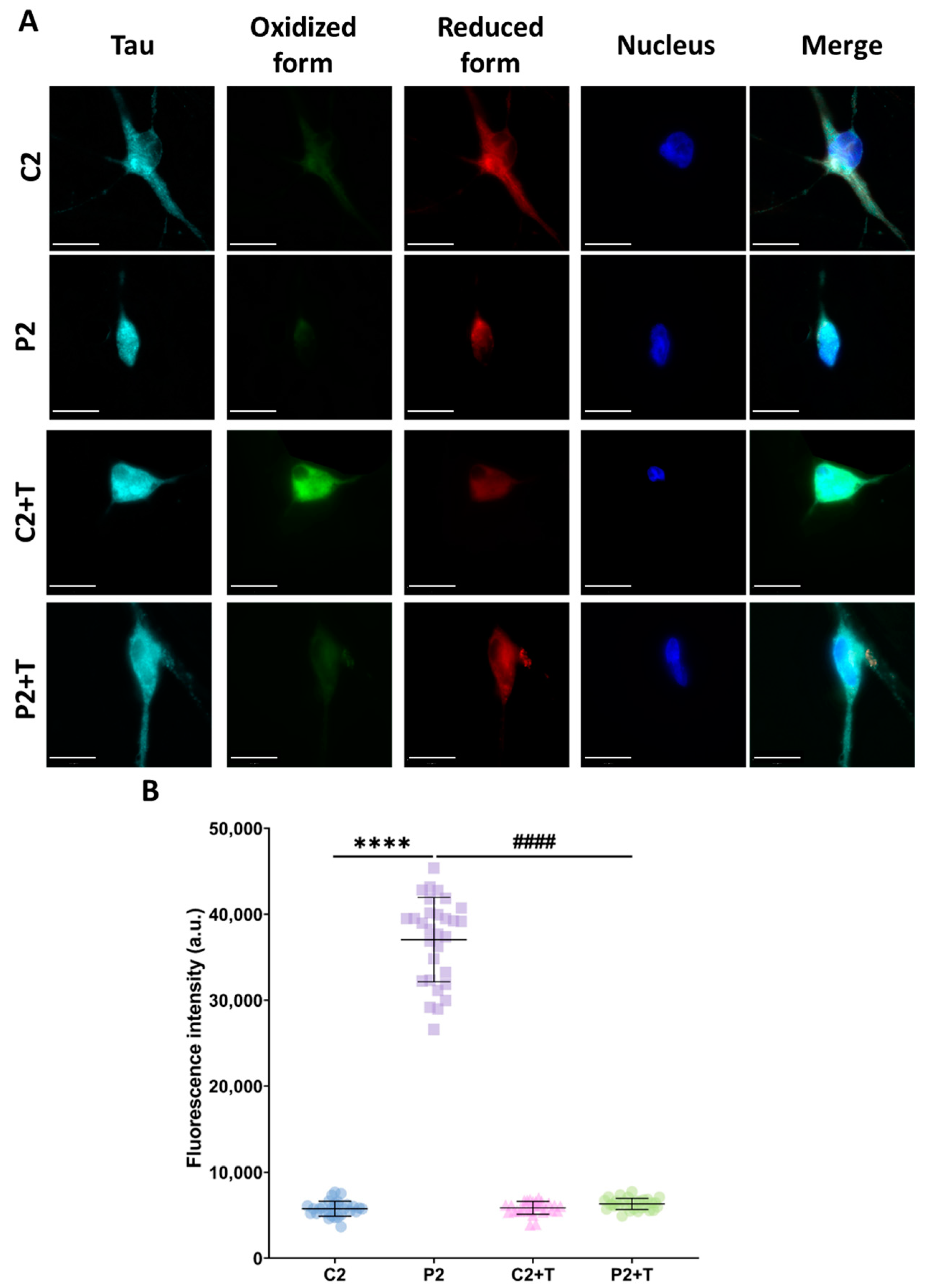 Antioxidants 14 00215 g012