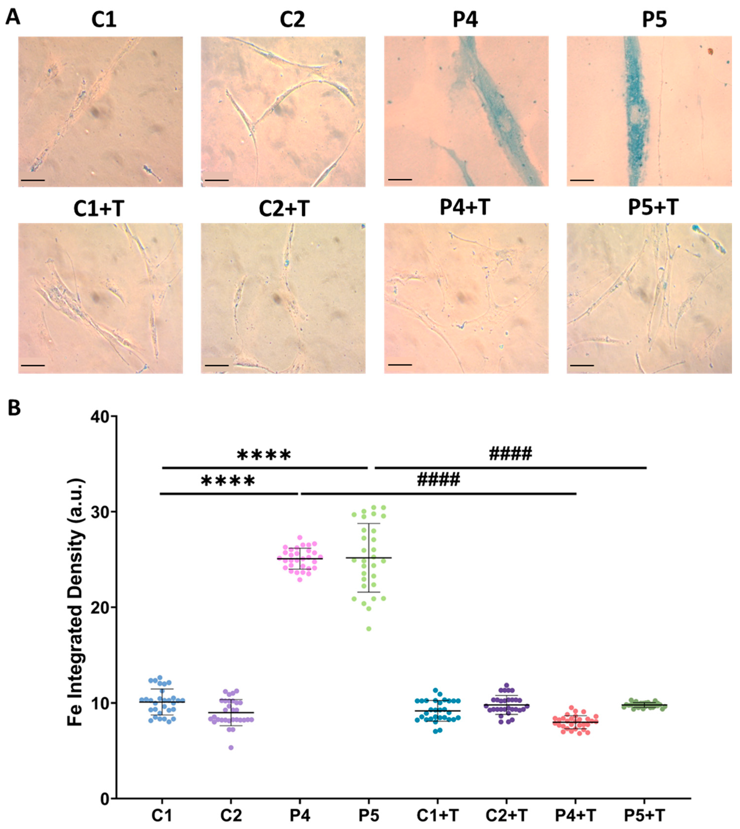 Antioxidants 14 00215 g013