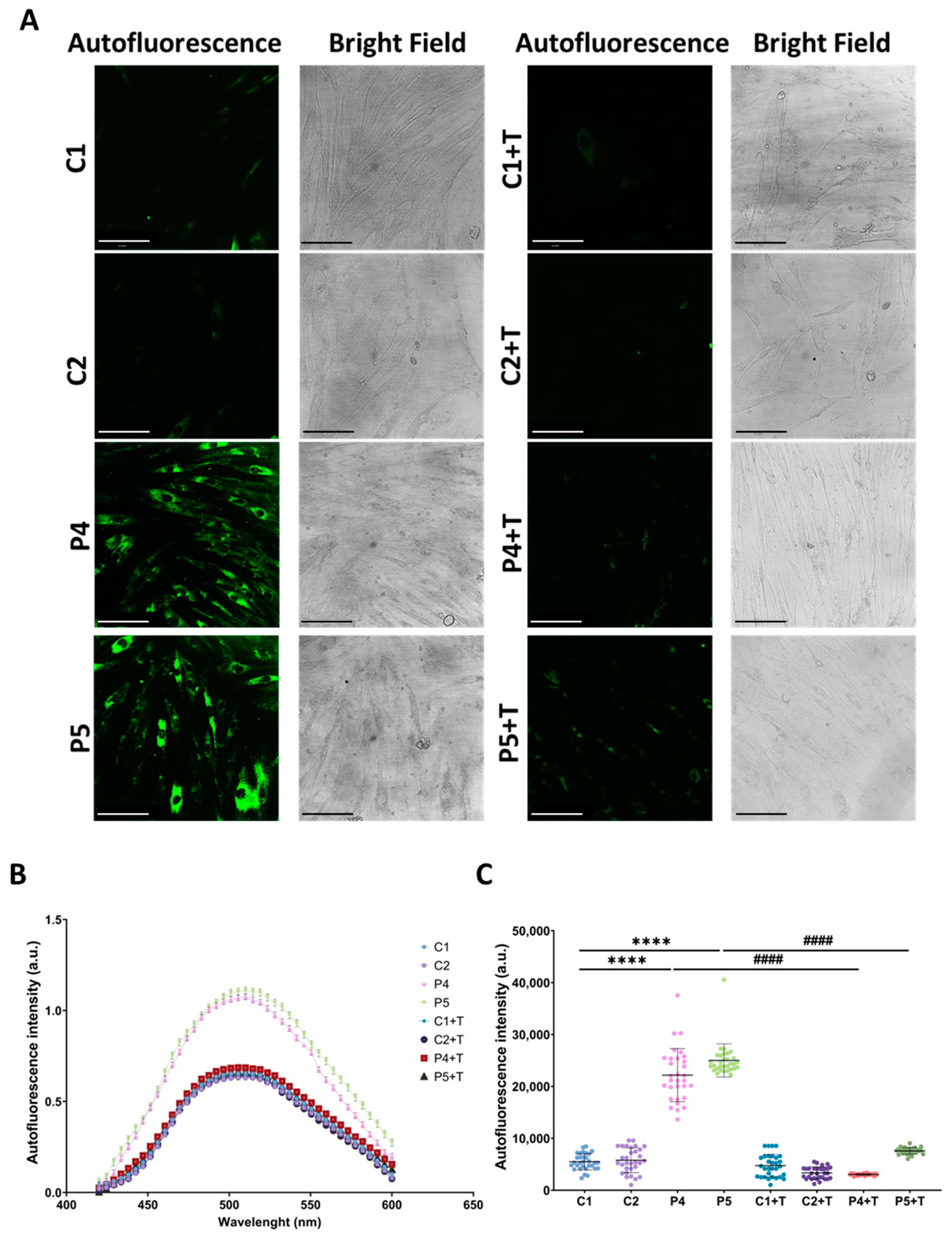 Antioxidants 14 00215 g014
