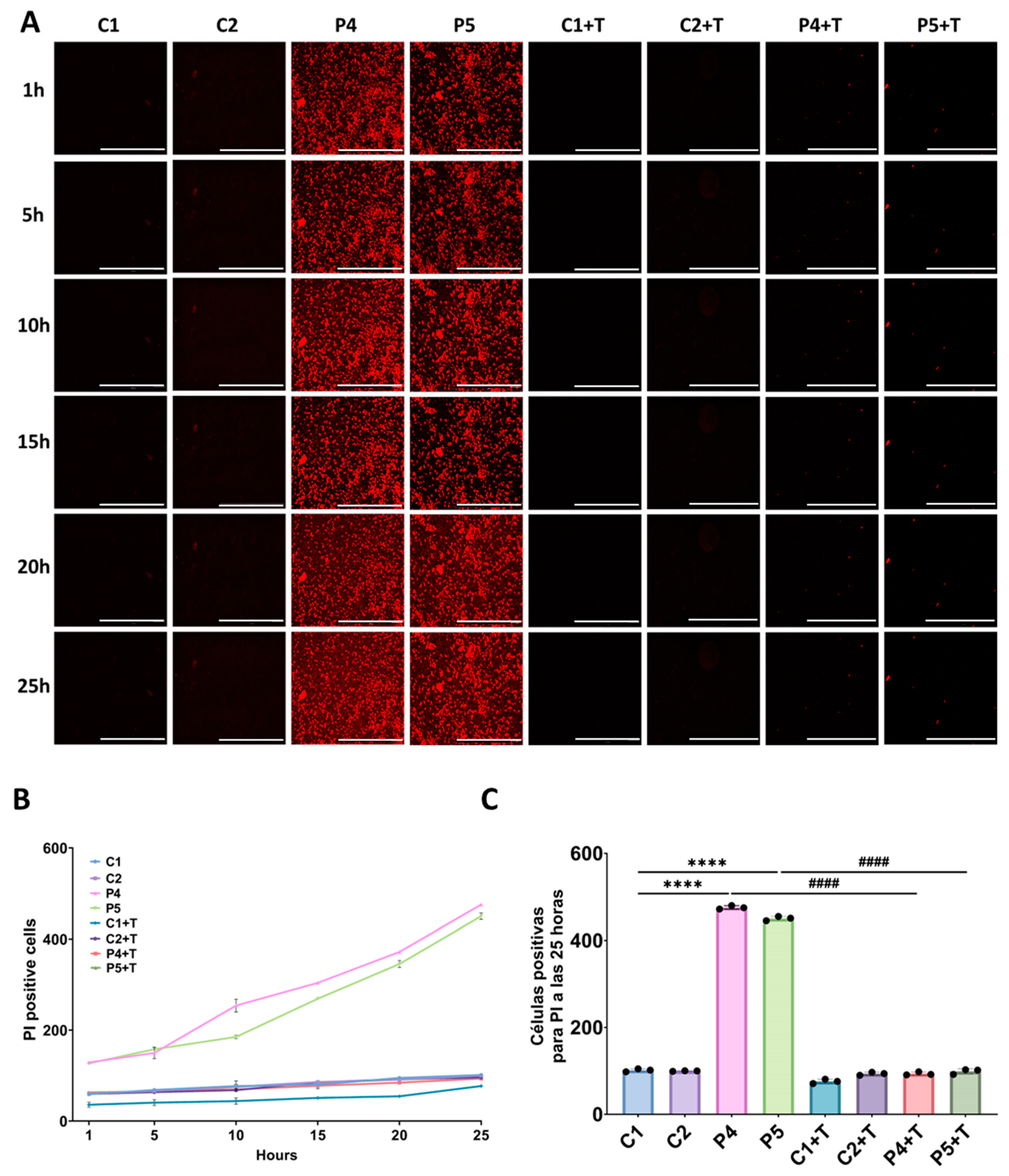 Antioxidants 14 00215 g016