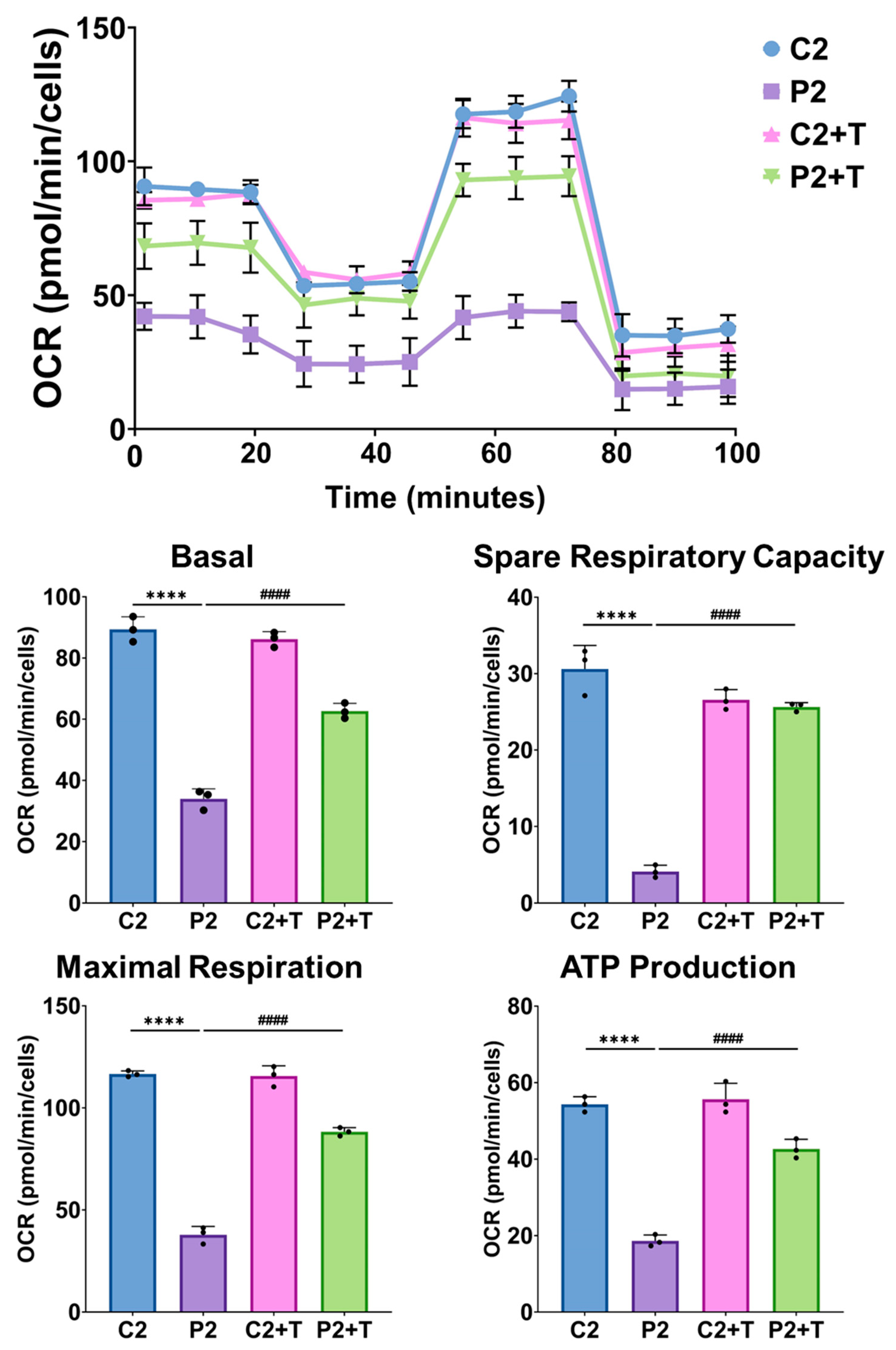 Antioxidants 14 00215 g018