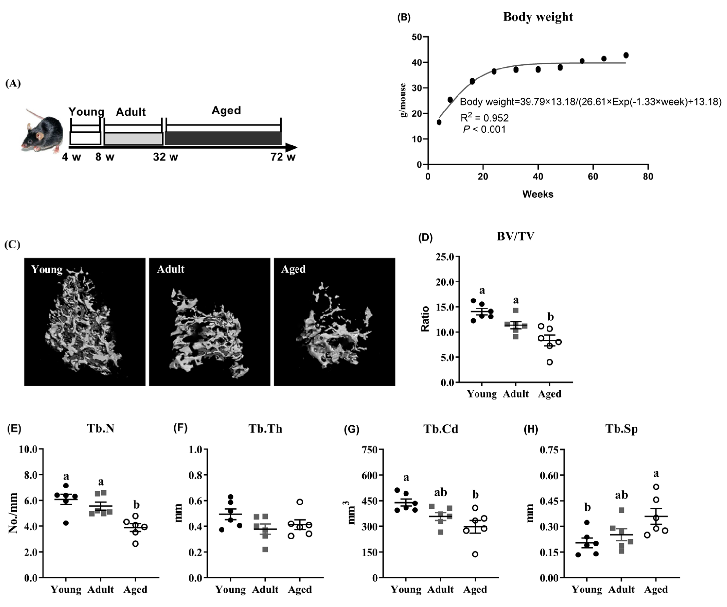 Antioxidants 14 00216 g001 Antioxidants 14 00216 g001