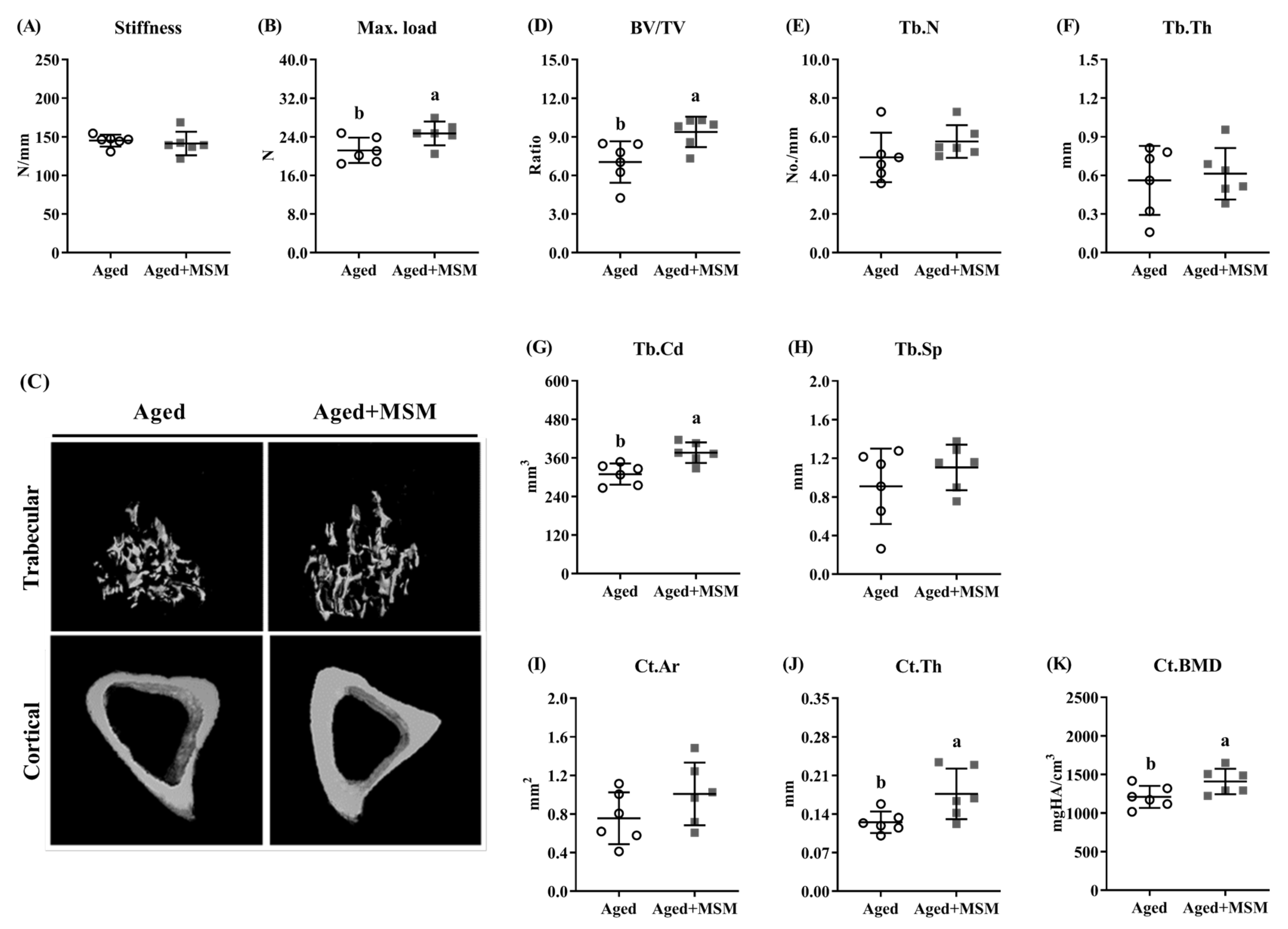 Antioxidants 14 00216 g003 Antioxidants 14 00216 g003