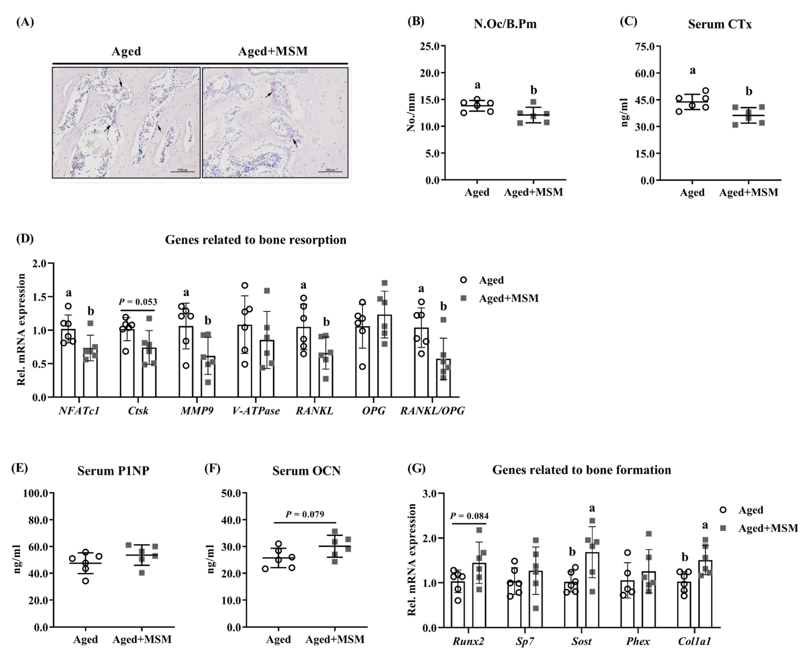 Antioxidants 14 00216 g004 Antioxidants 14 00216 g004