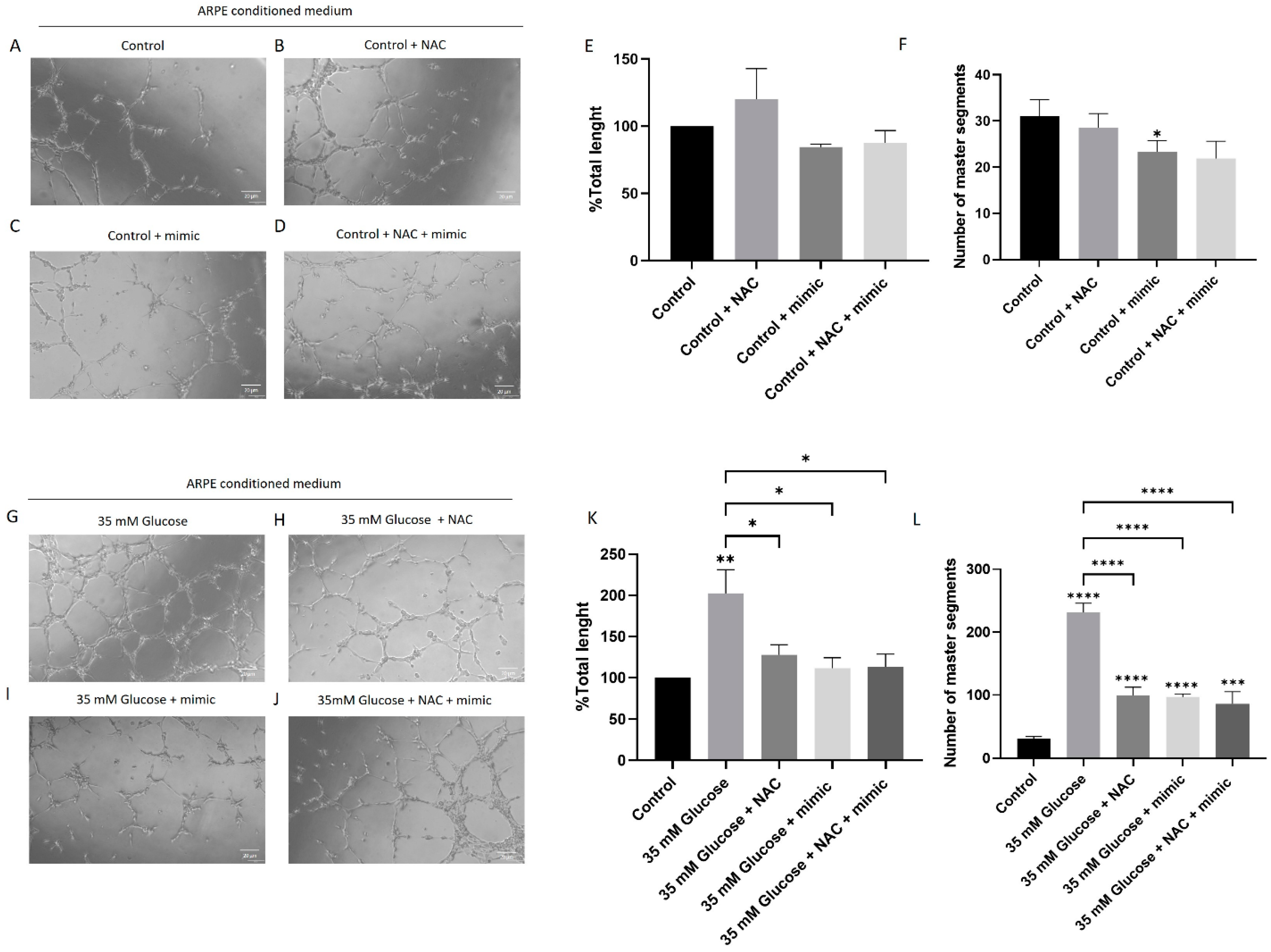 Antioxidants 14 00218 g004