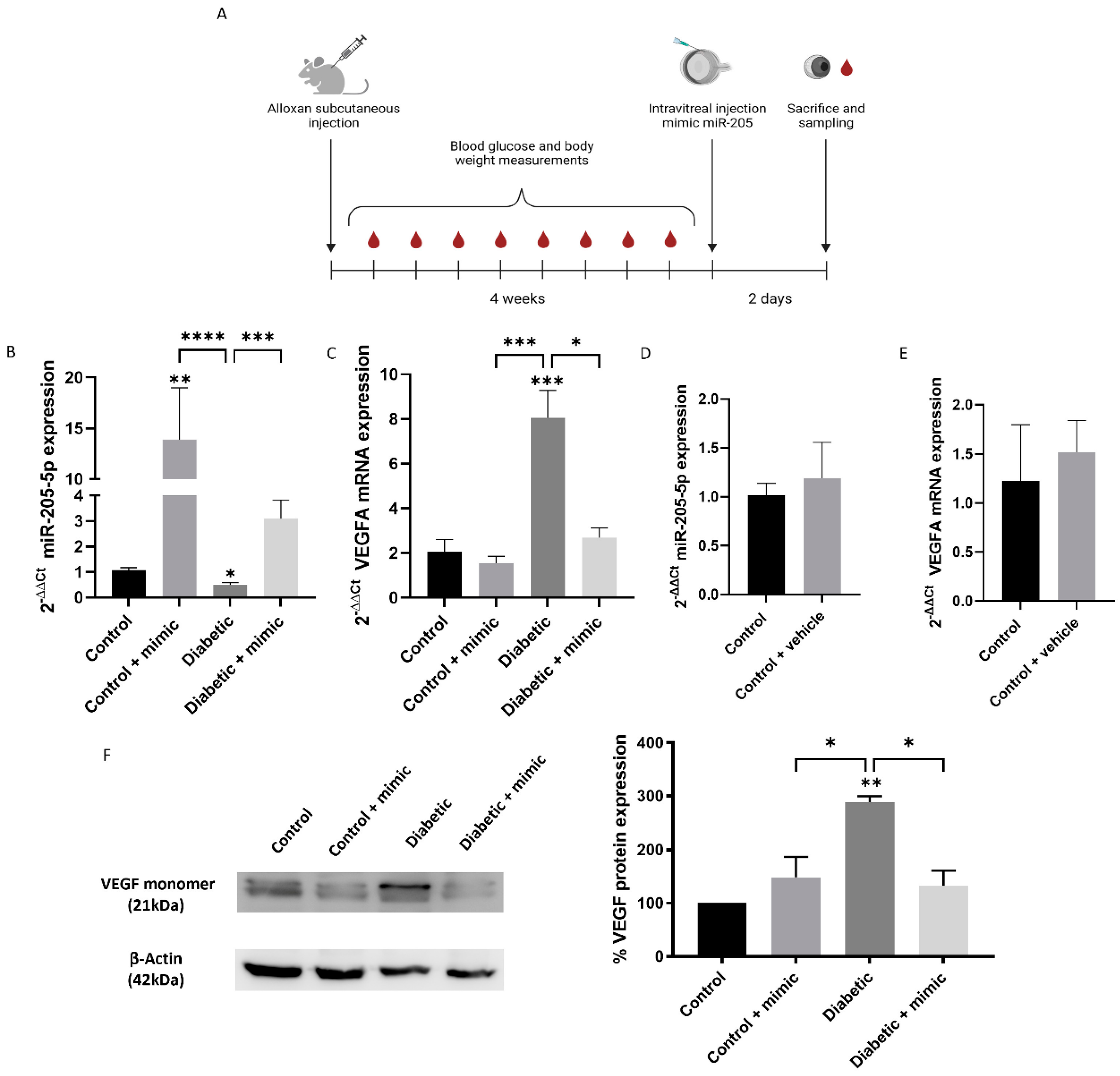 Antioxidants 14 00218 g007