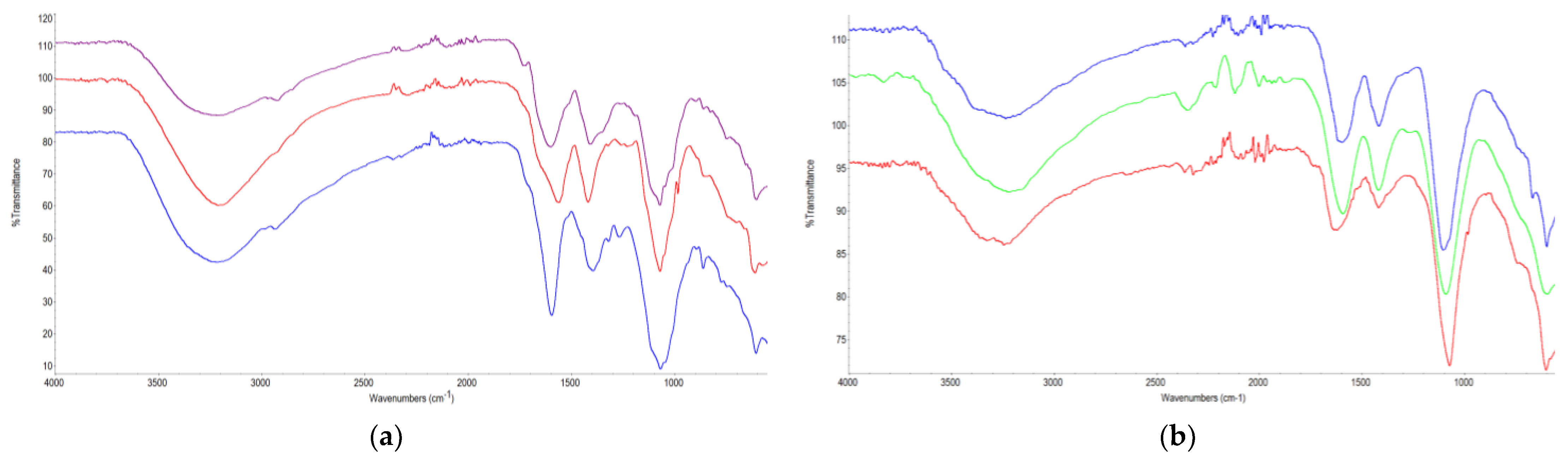 Antioxidants 14 00219 g001