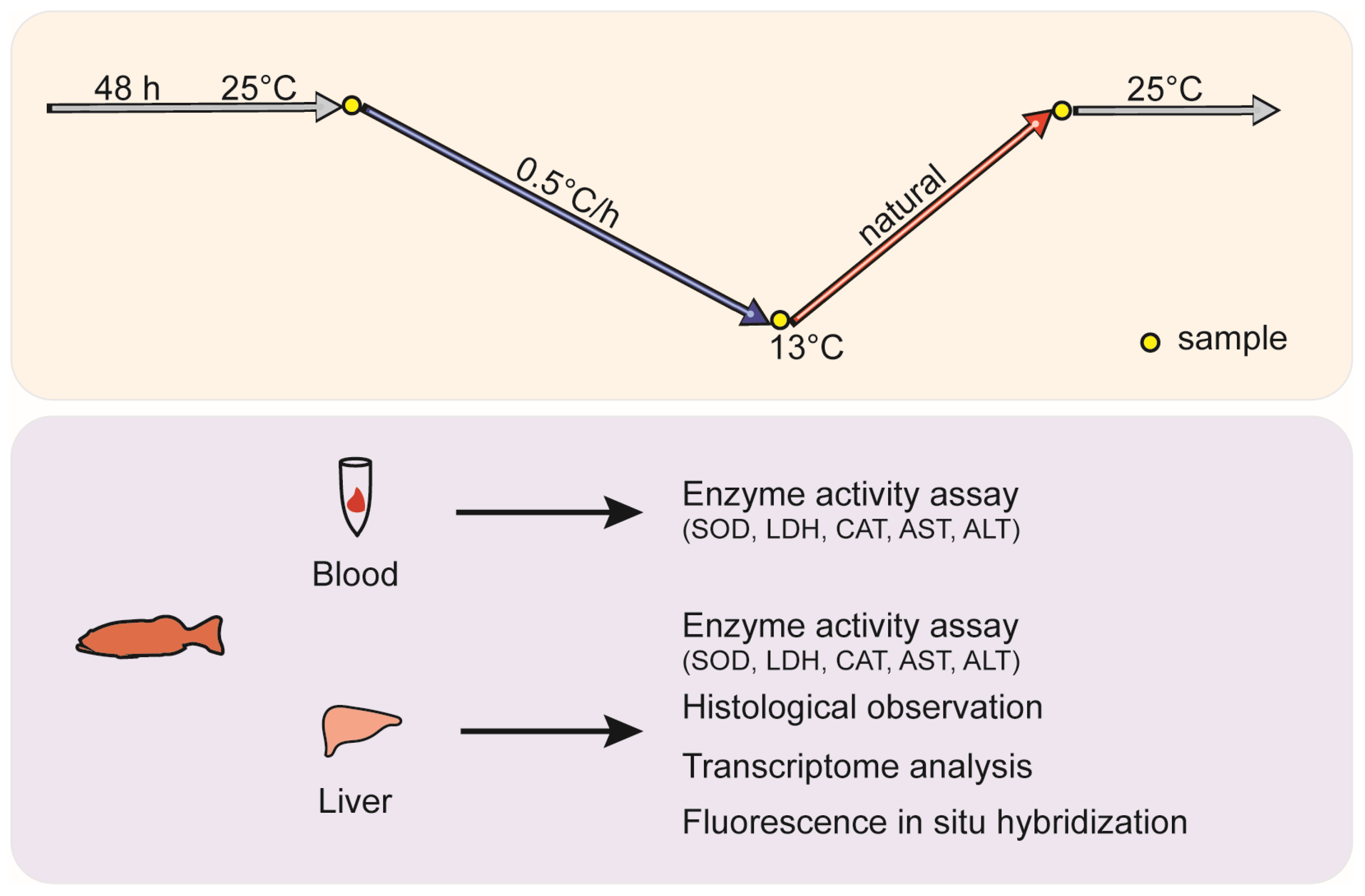 Antioxidants 14 00223 g001