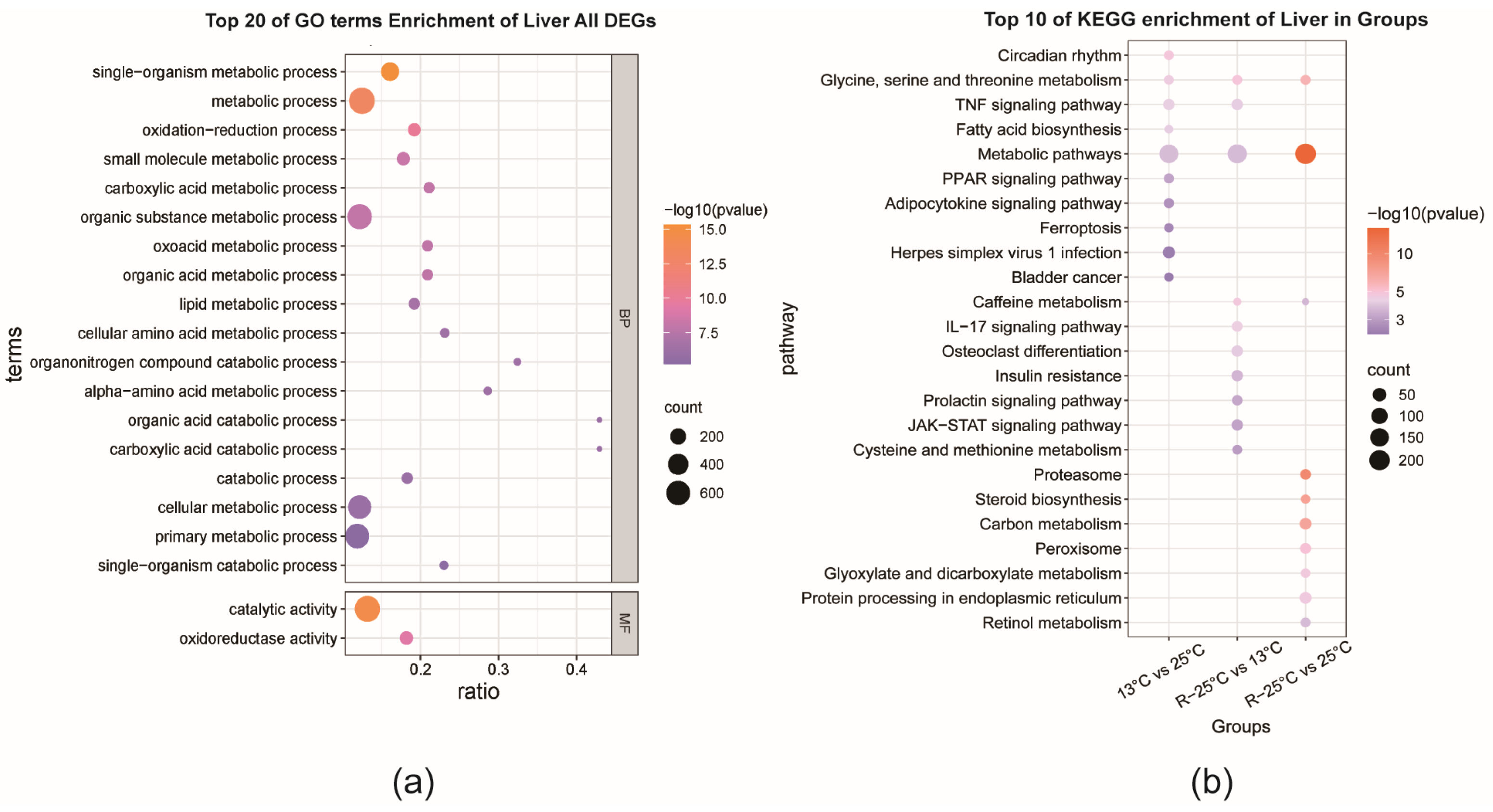 Antioxidants 14 00223 g004