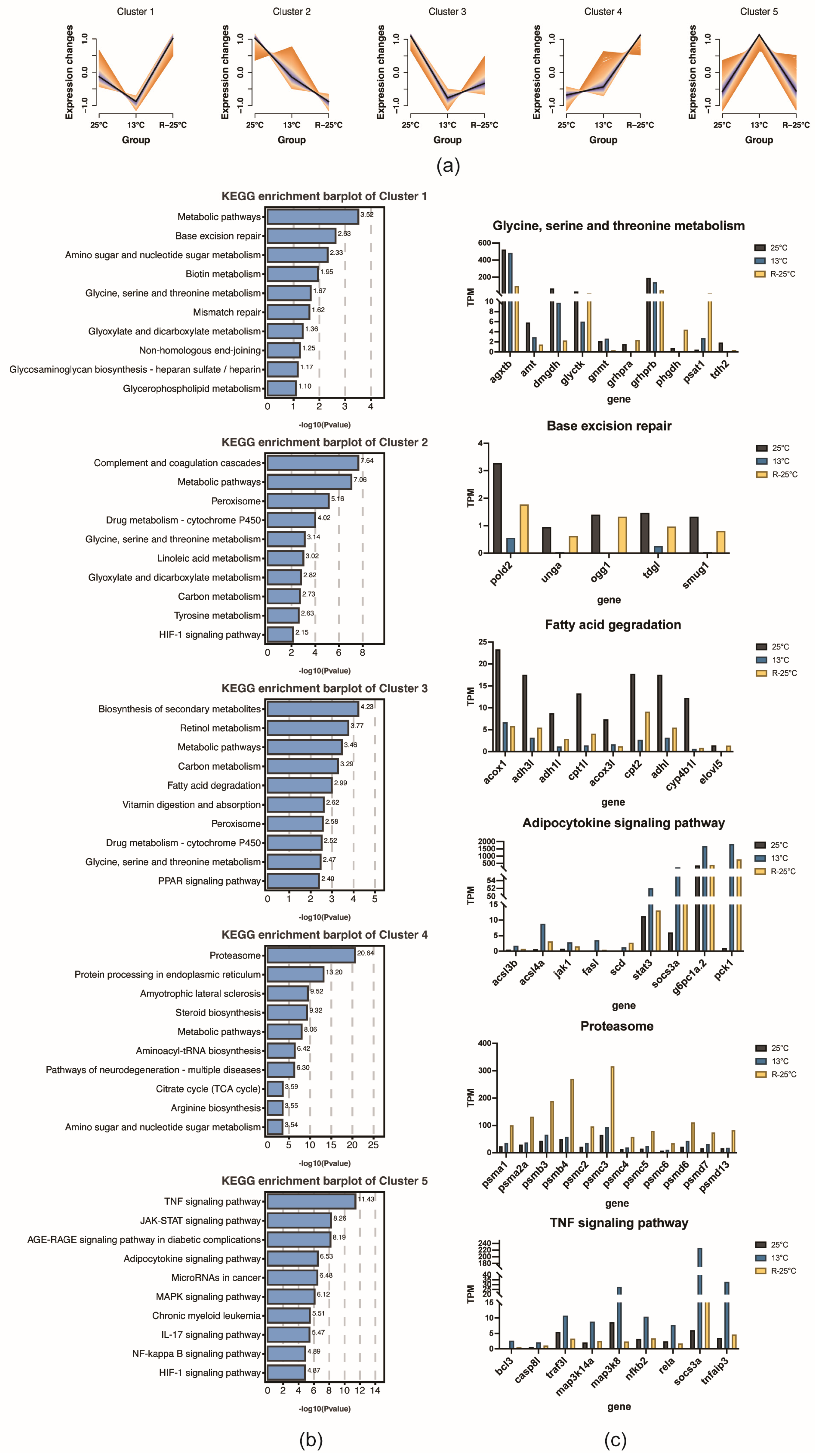 Antioxidants 14 00223 g005