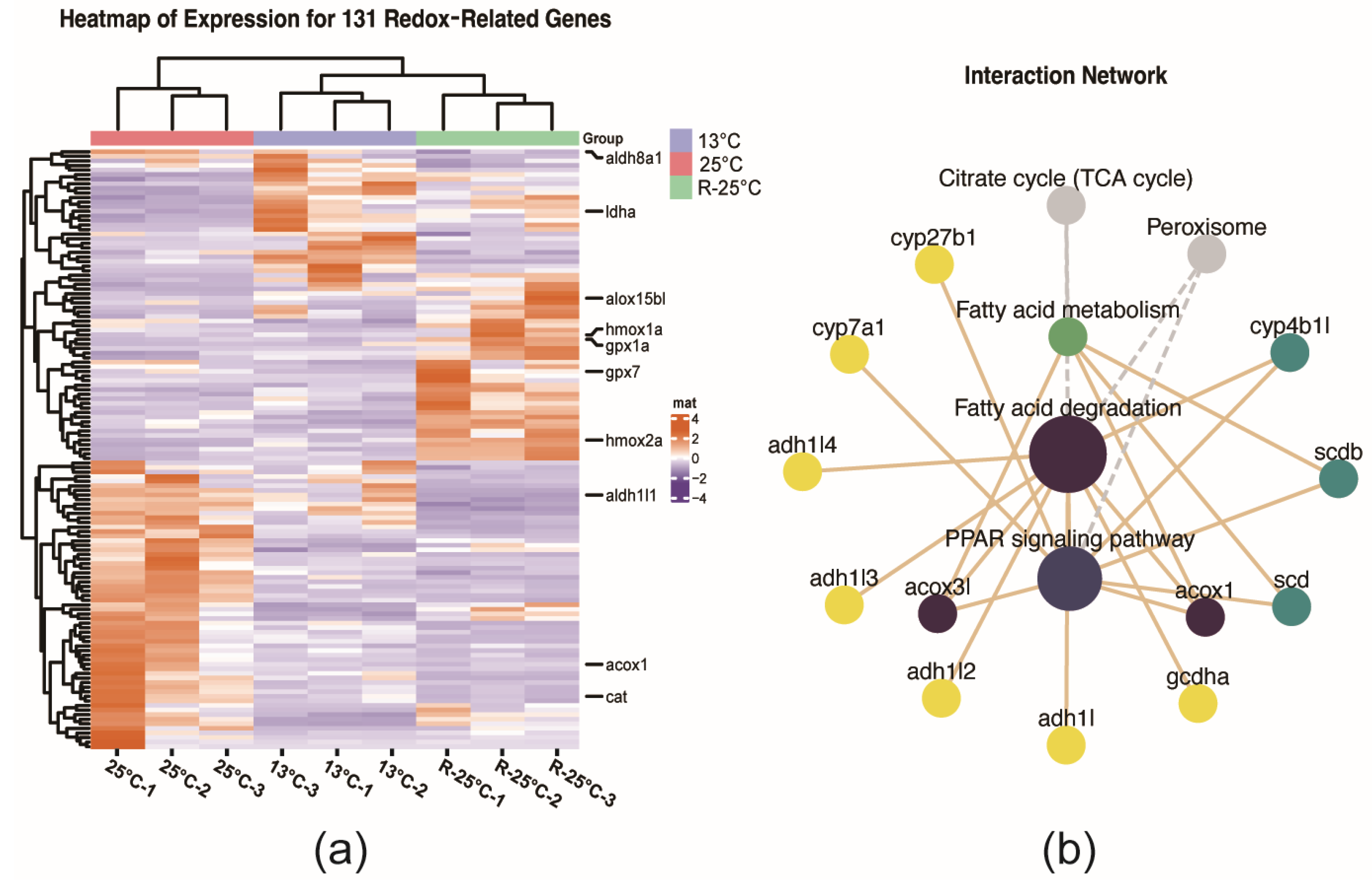 Antioxidants 14 00223 g006