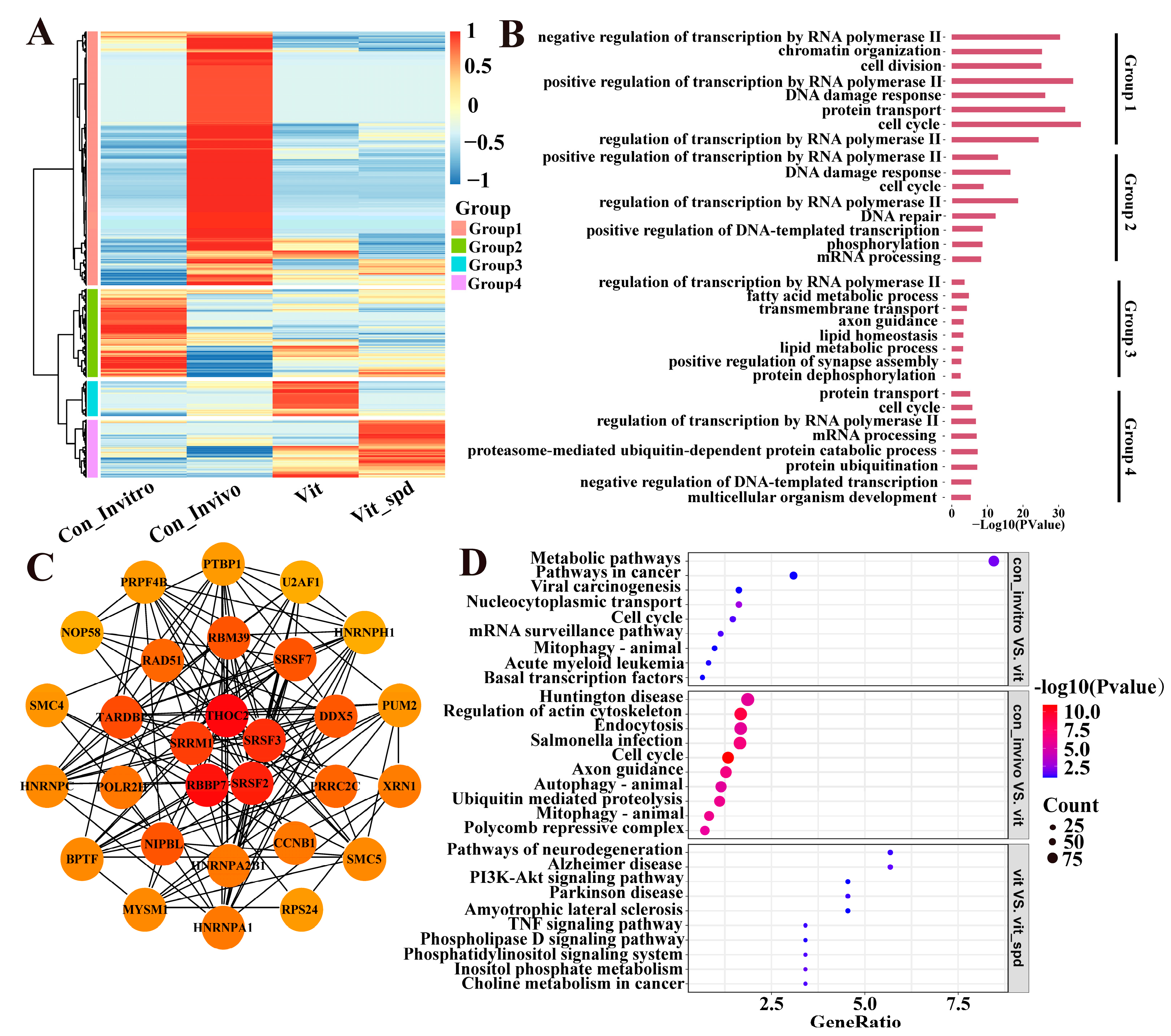 Antioxidants 14 00224 g004