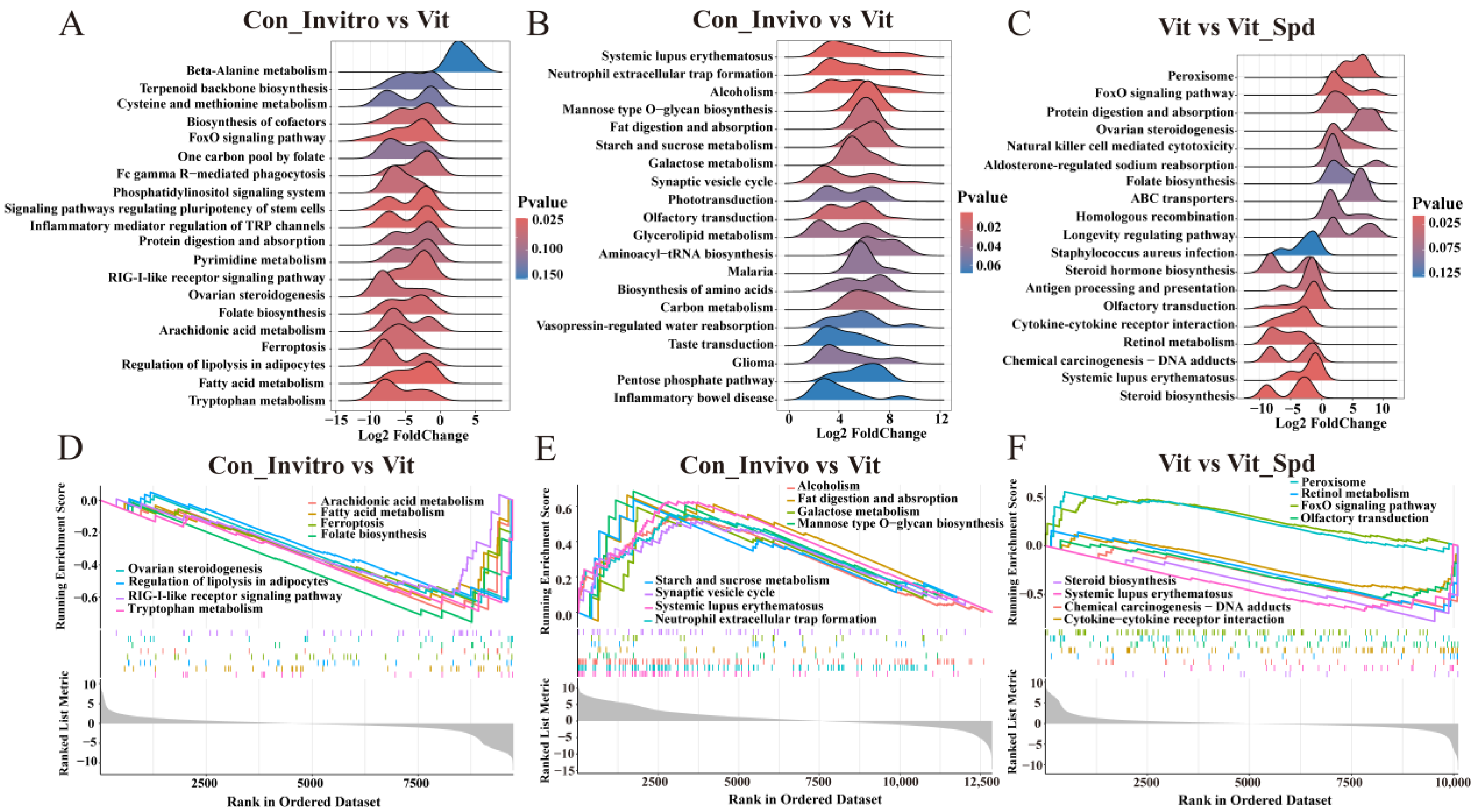 Antioxidants 14 00224 g005