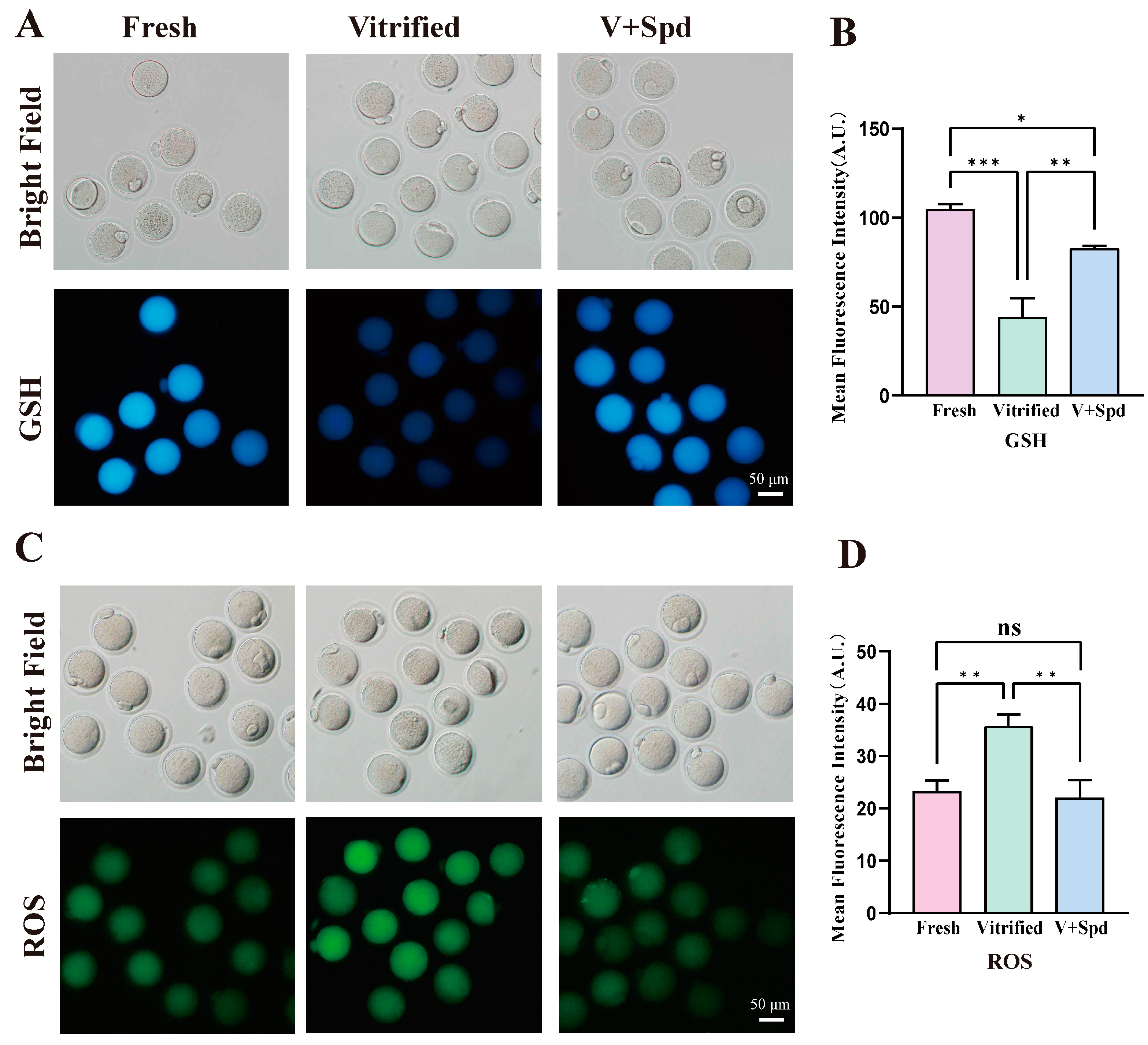 Antioxidants 14 00224 g006