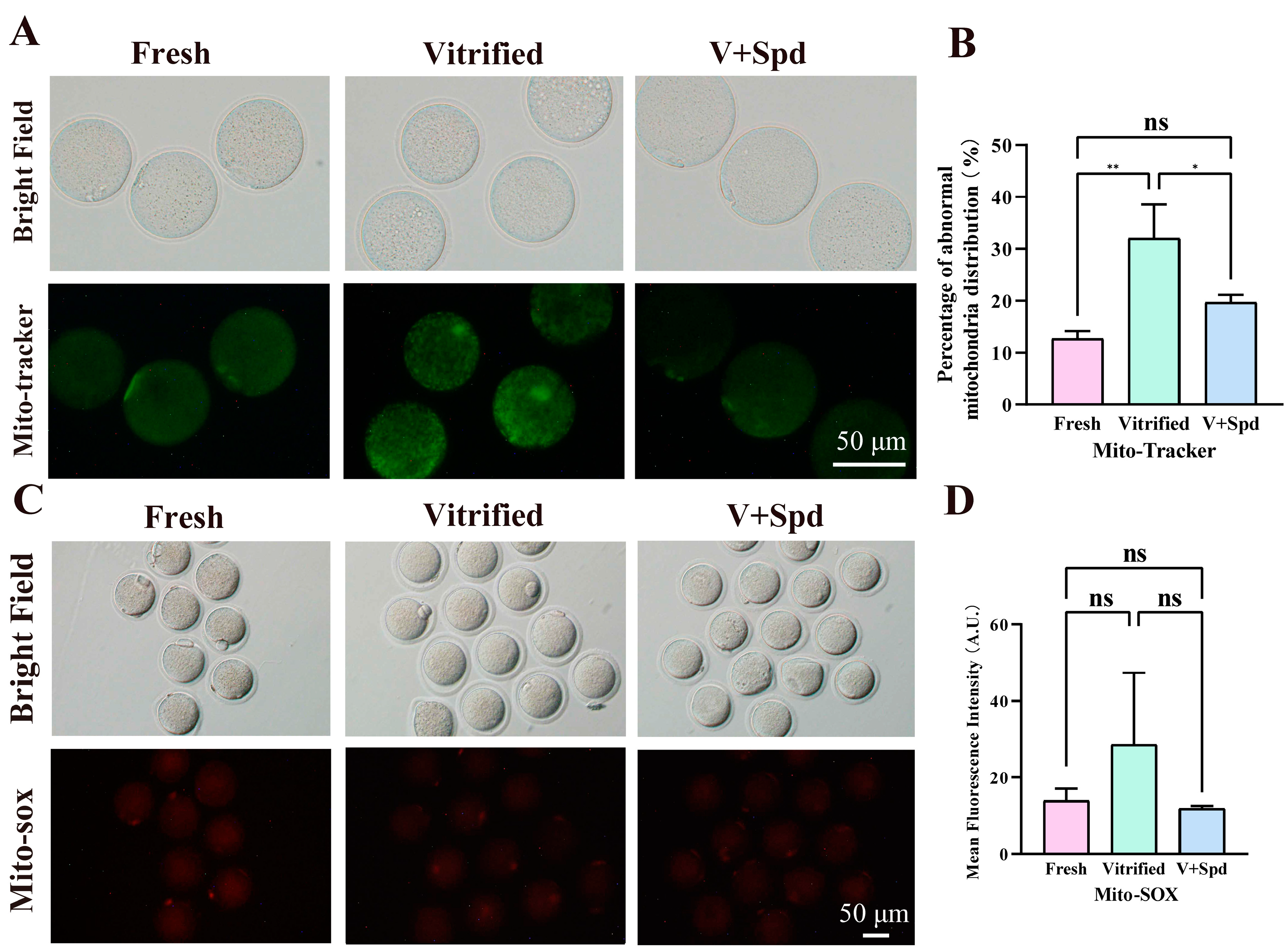 Antioxidants 14 00224 g007