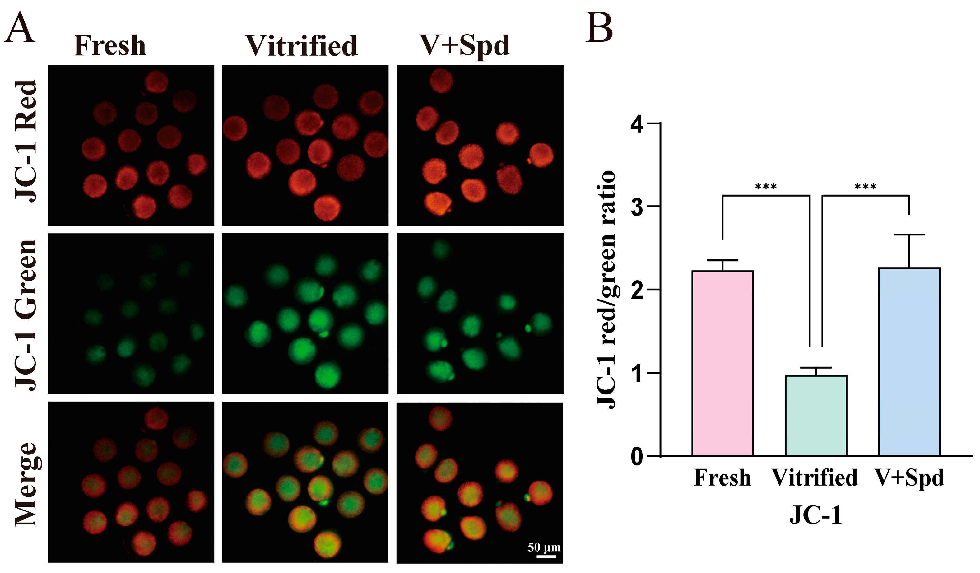 Antioxidants 14 00224 g008