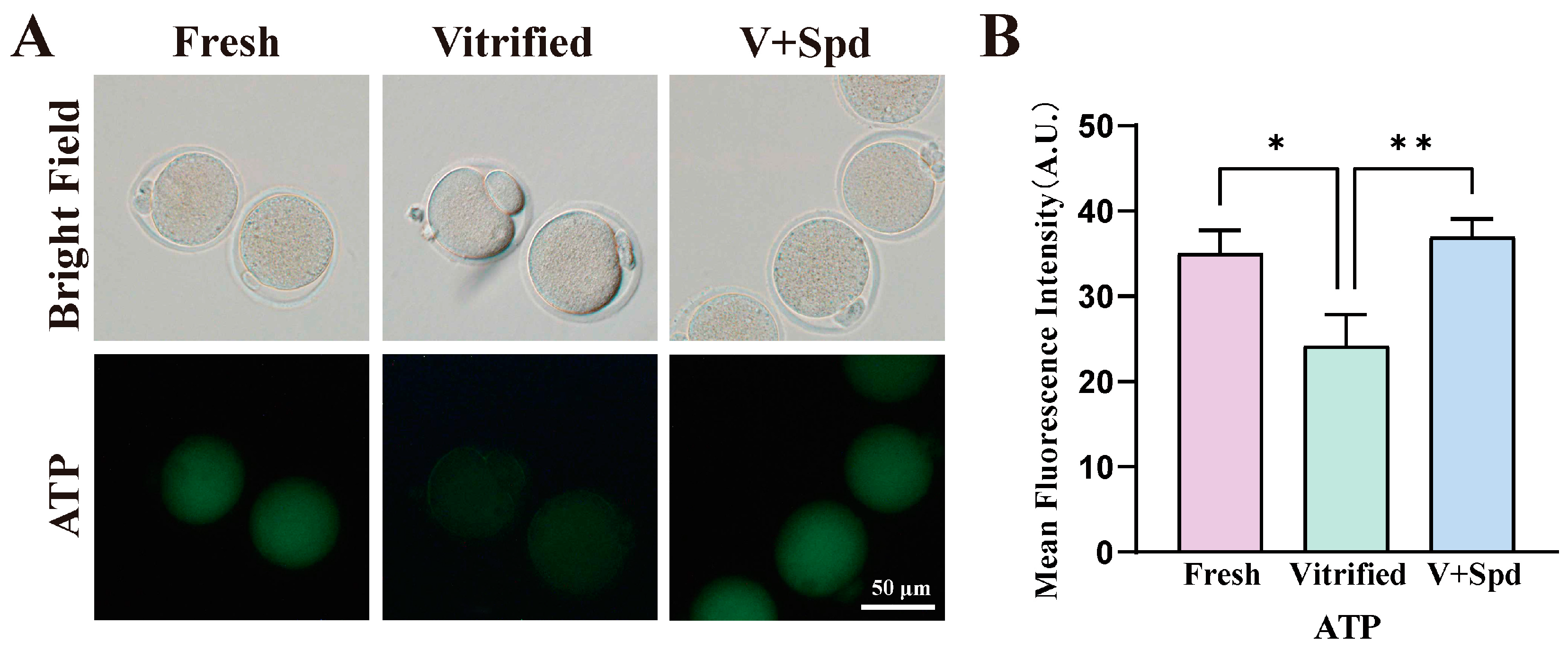 Antioxidants 14 00224 g009