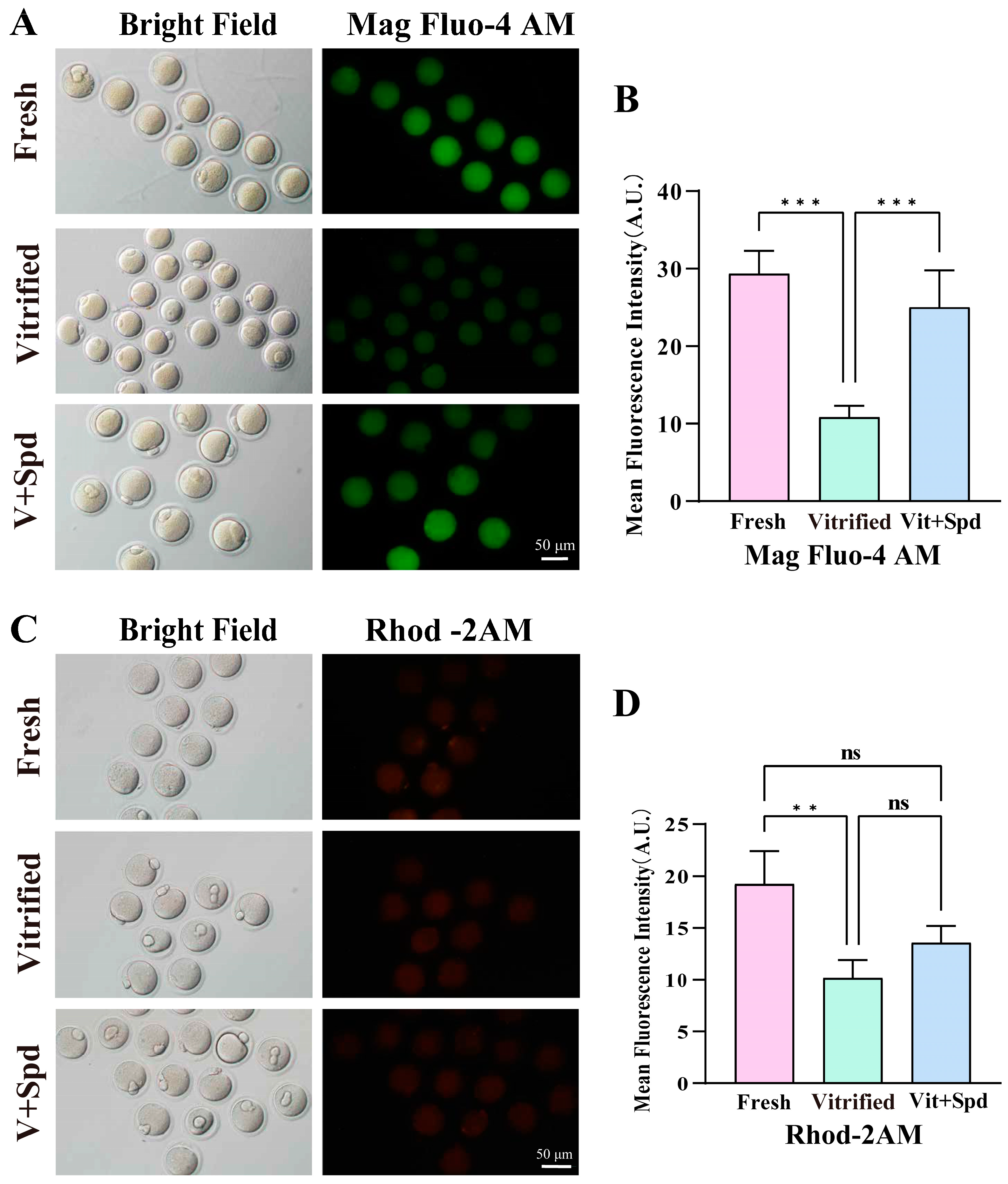 Antioxidants 14 00224 g012