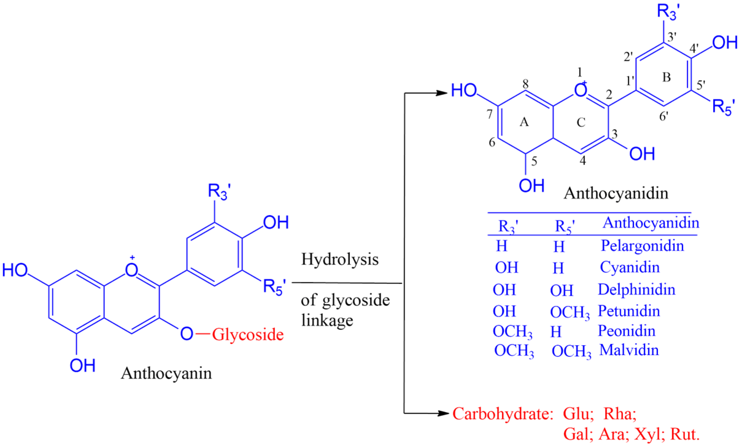 Antioxidants 14 00227 sch001