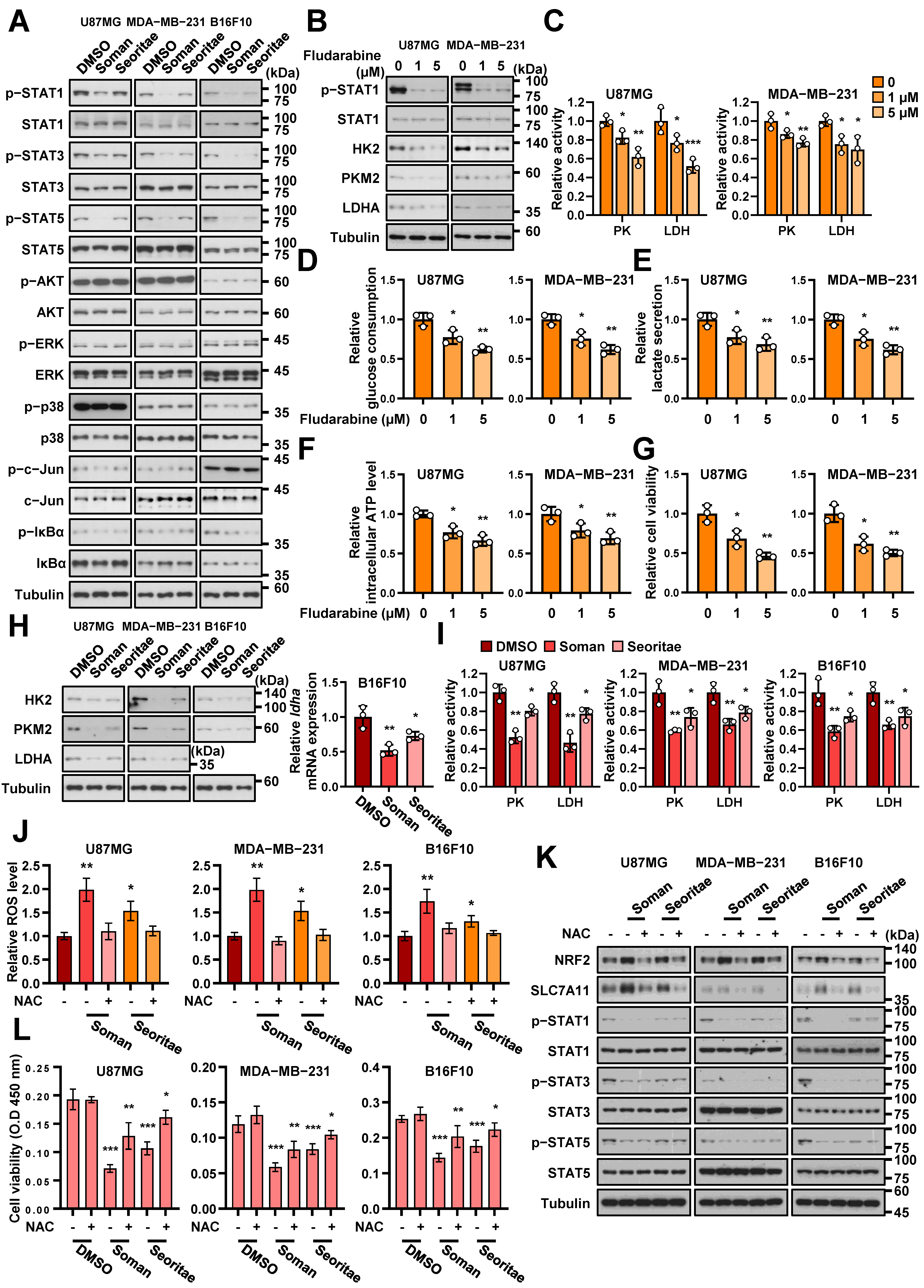 Antioxidants 14 00228 g003