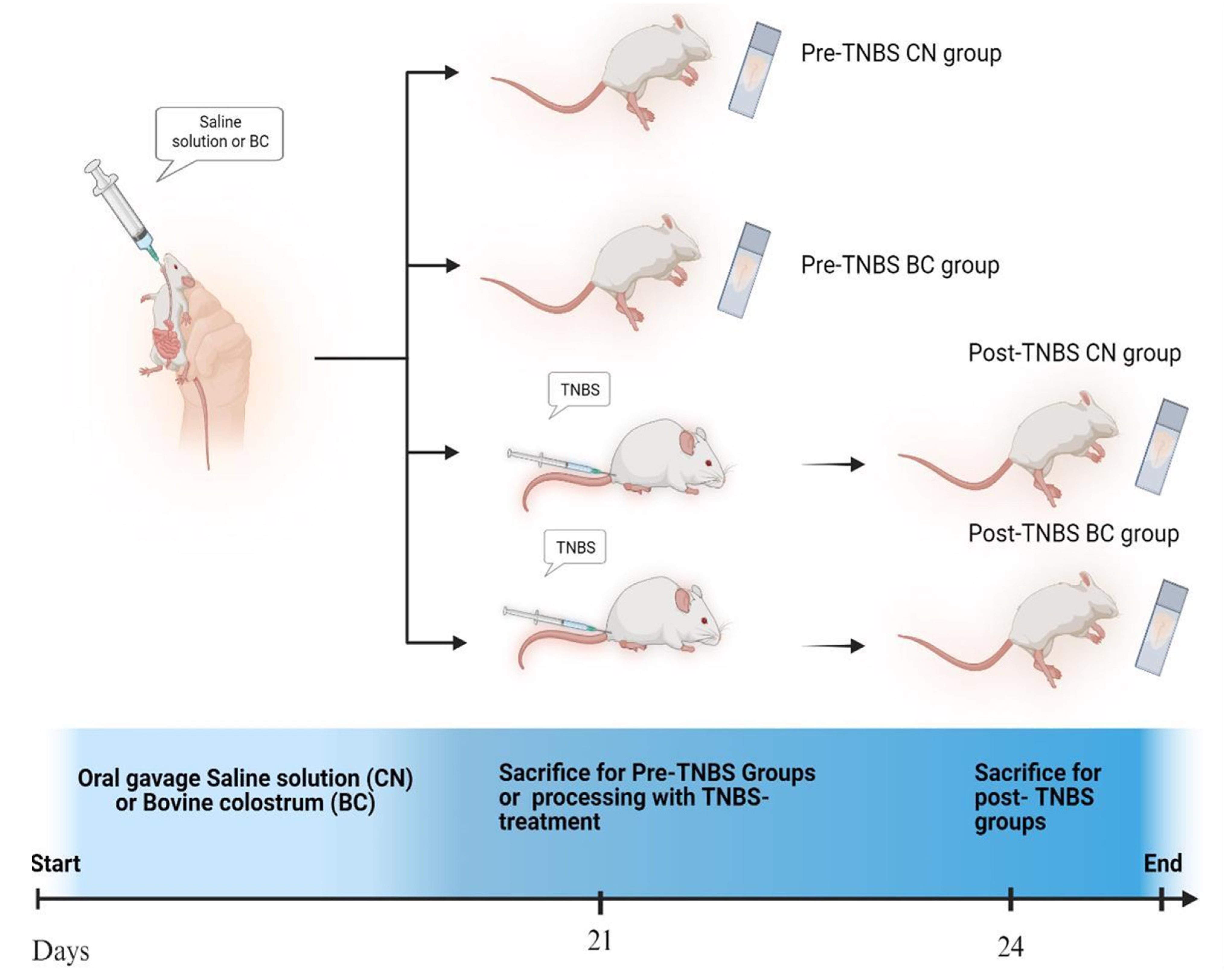 Antioxidants 14 00232 g001