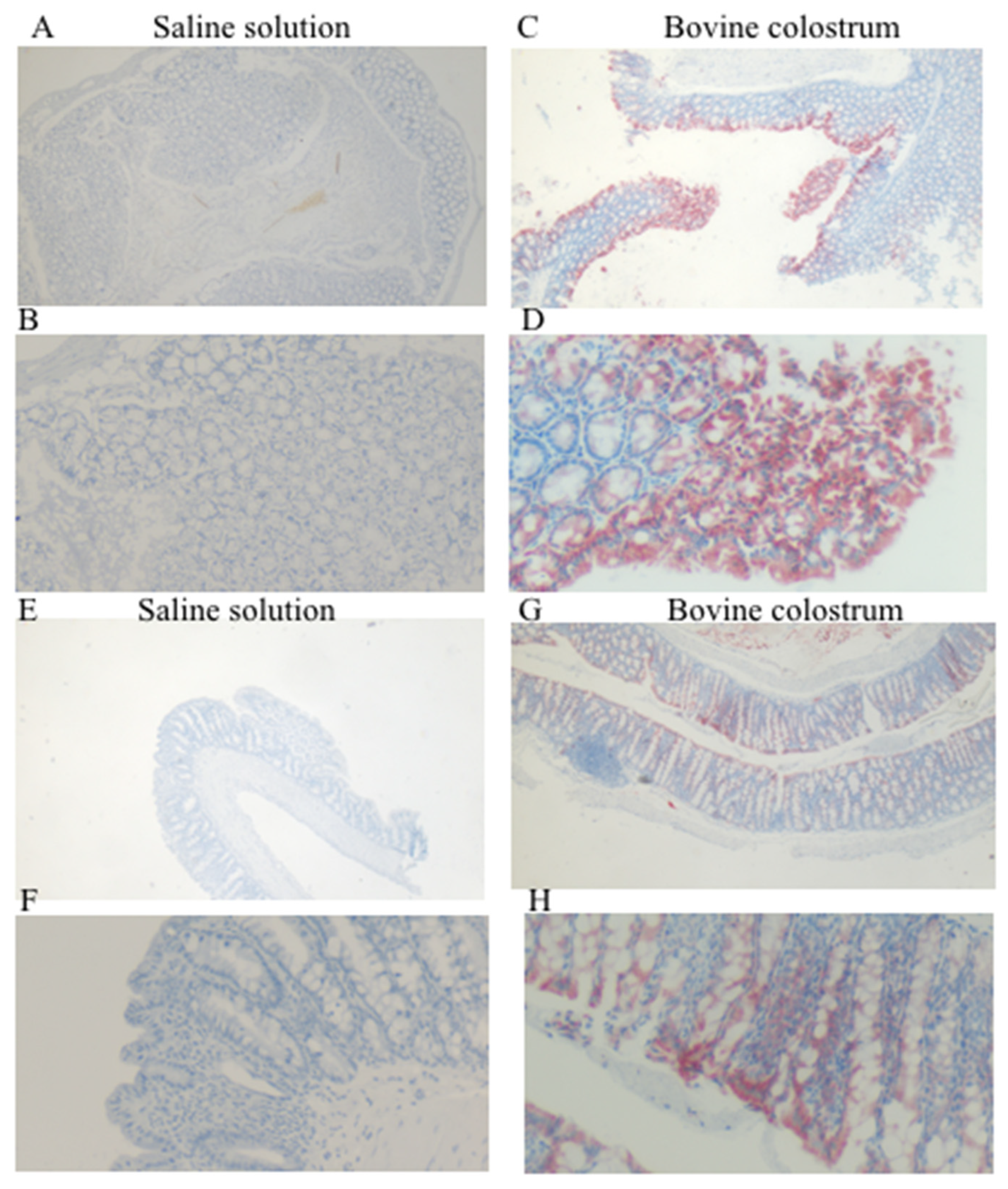 Antioxidants 14 00232 g002