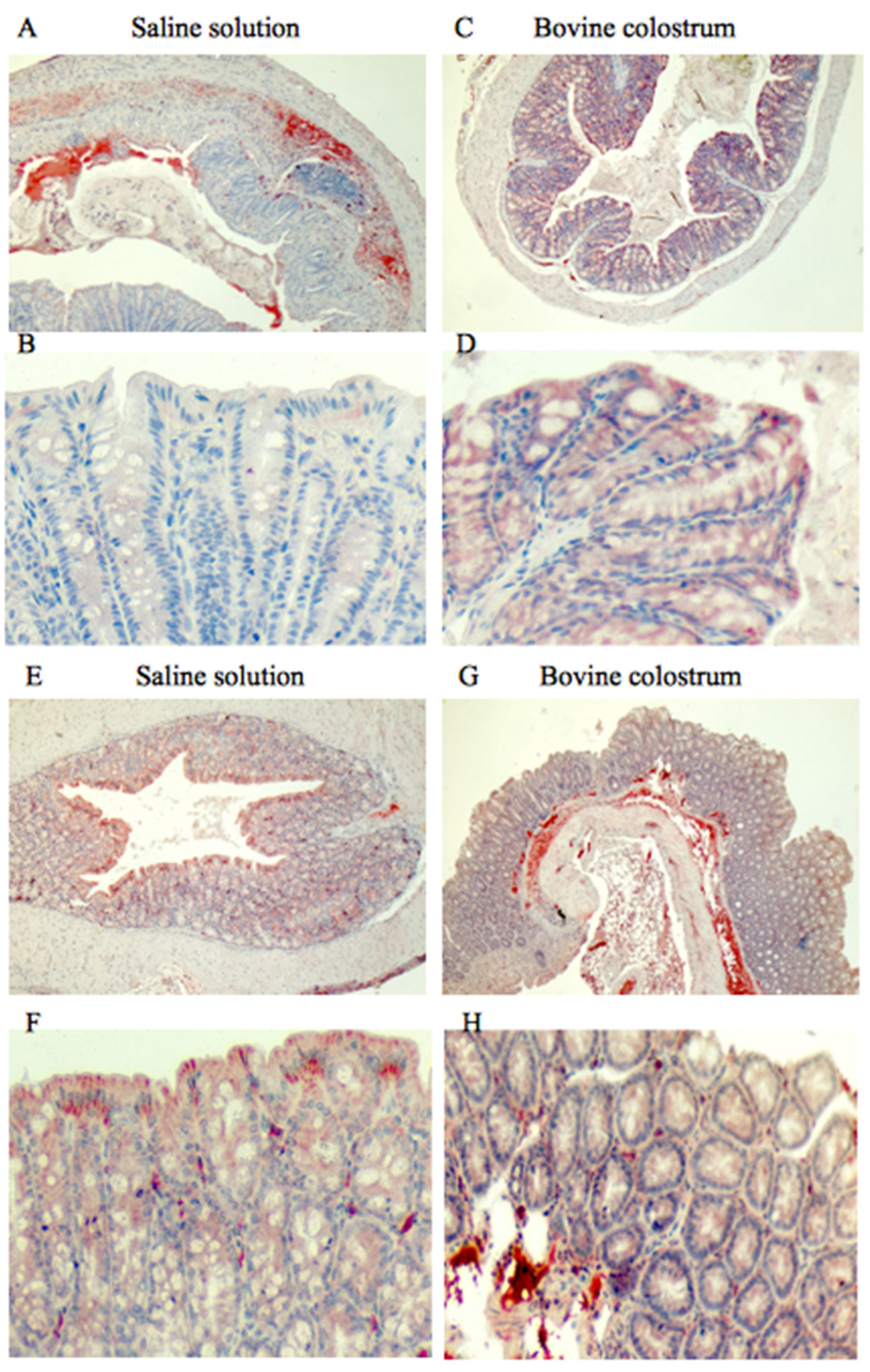 Antioxidants 14 00232 g005