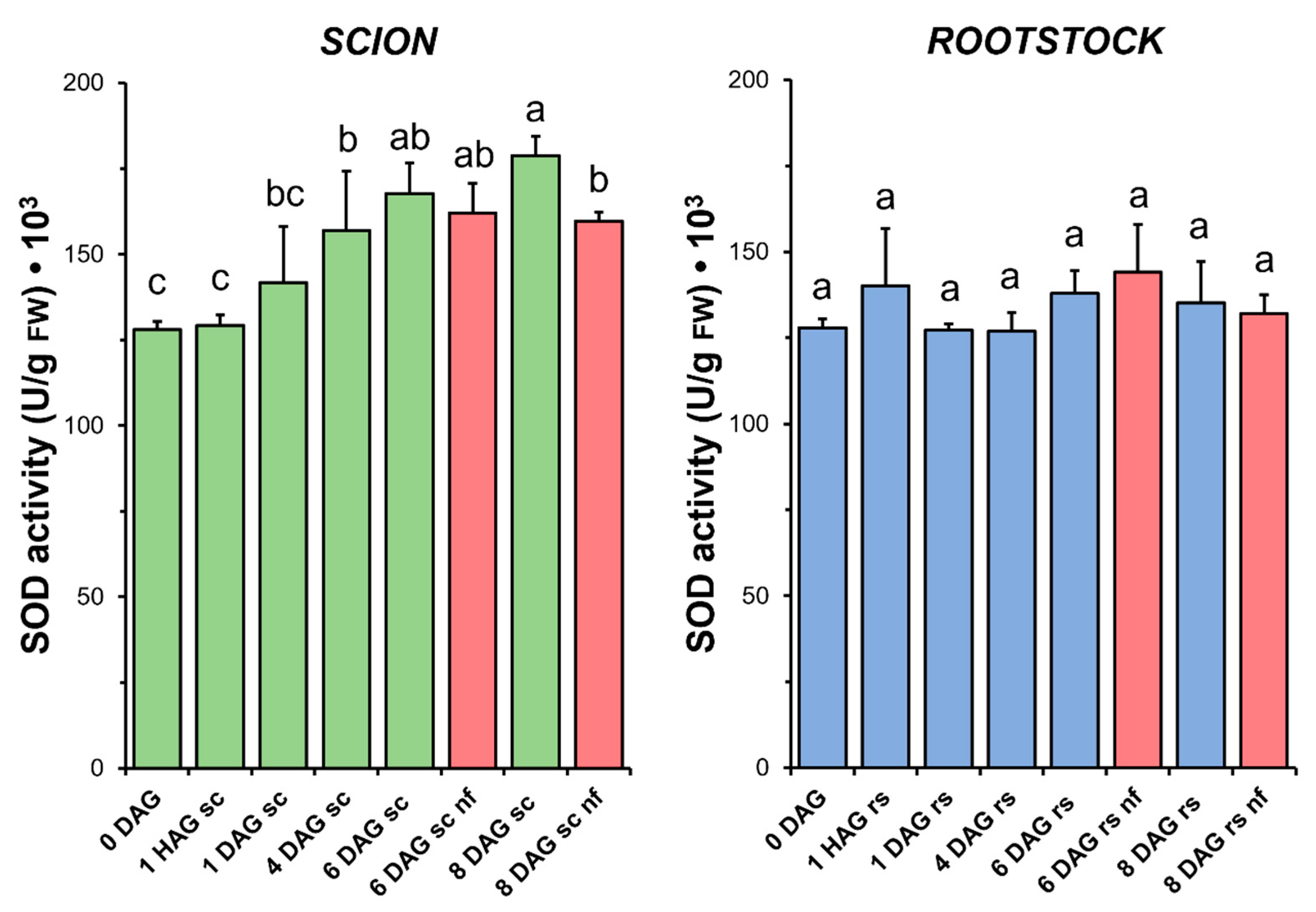 Antioxidants 14 00234 g005