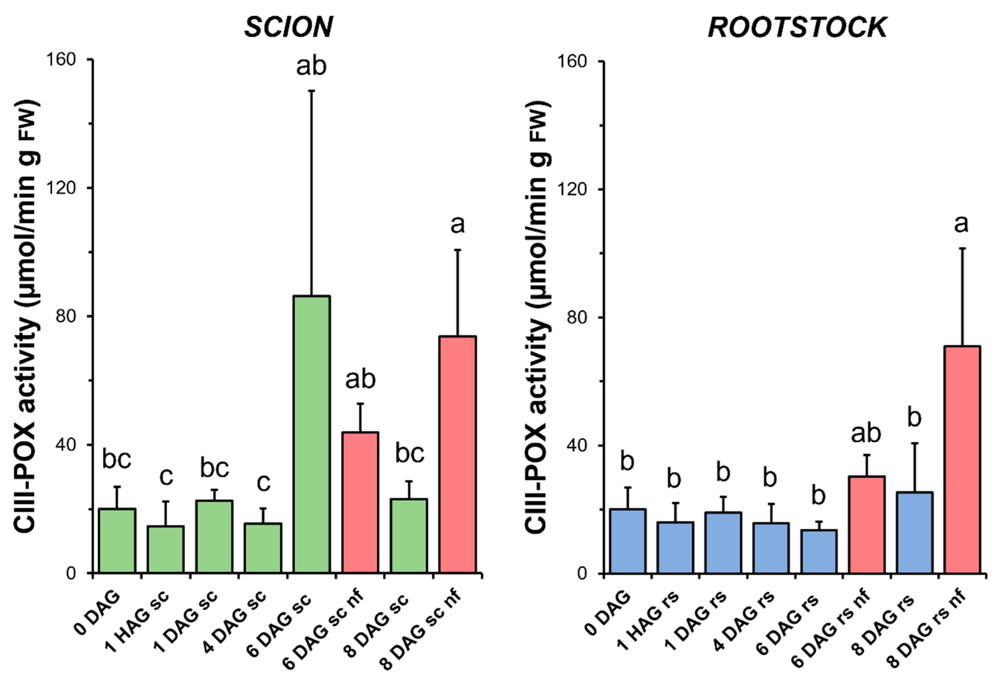 Antioxidants 14 00234 g007