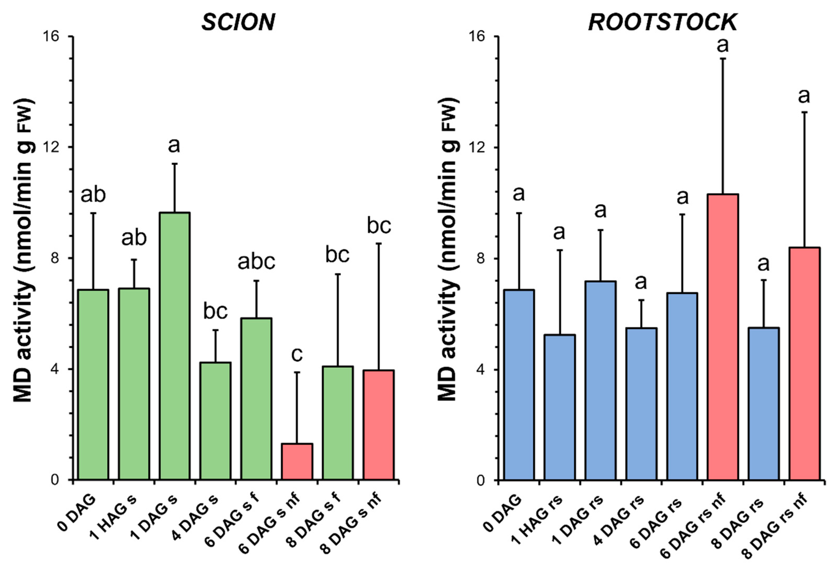Antioxidants 14 00234 g008