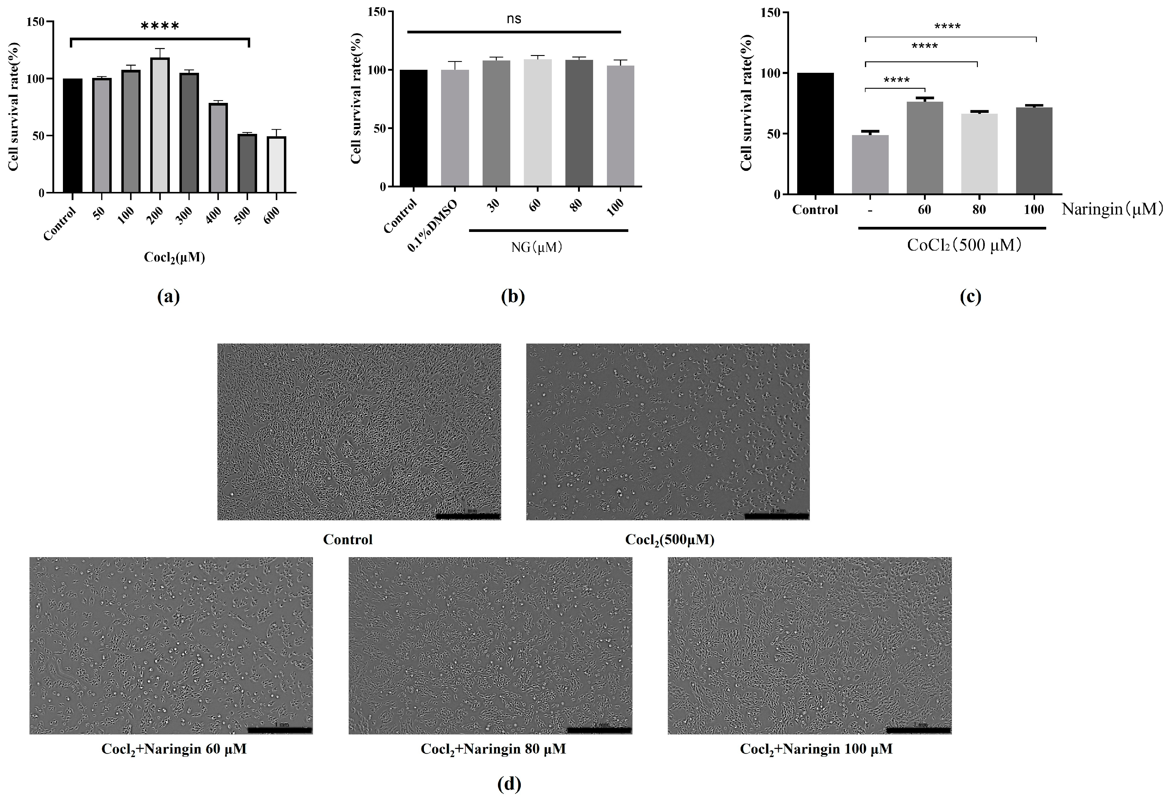Antioxidants 14 00236 g001