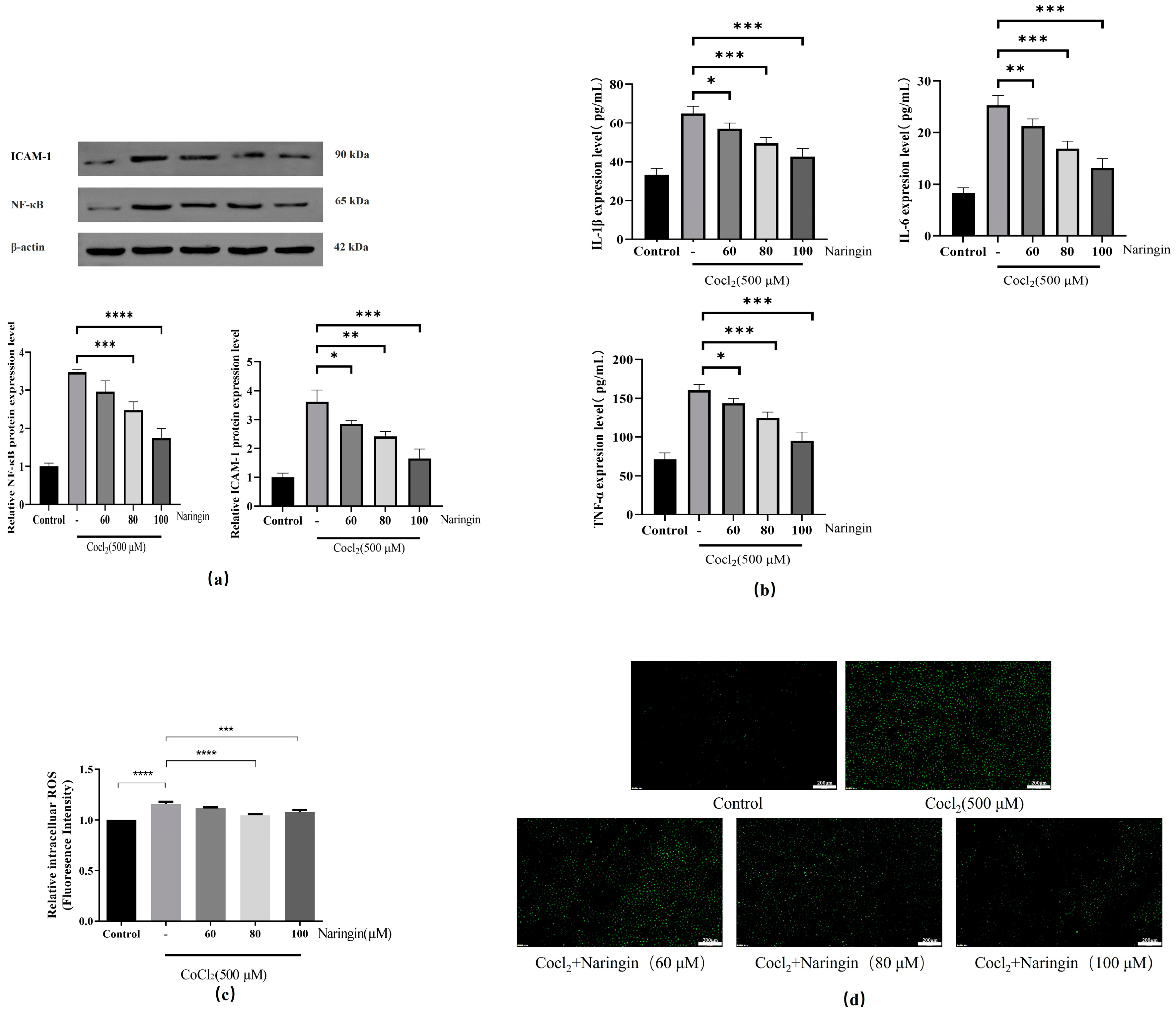 Antioxidants 14 00236 g003