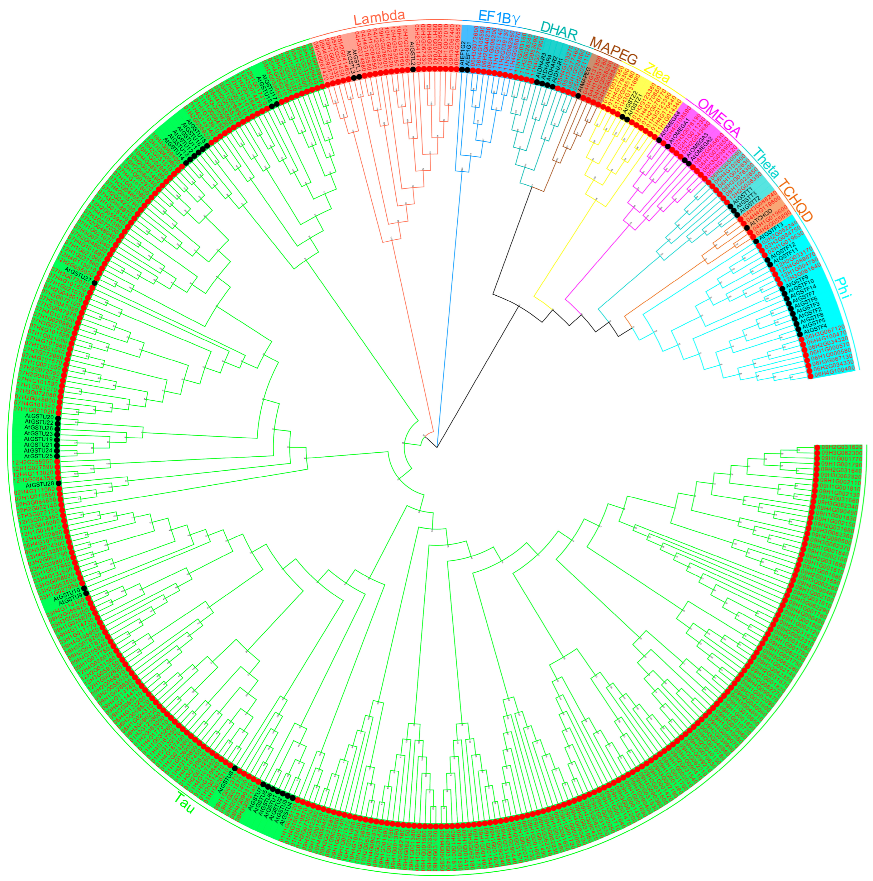 Antioxidants 14 00239 g001
