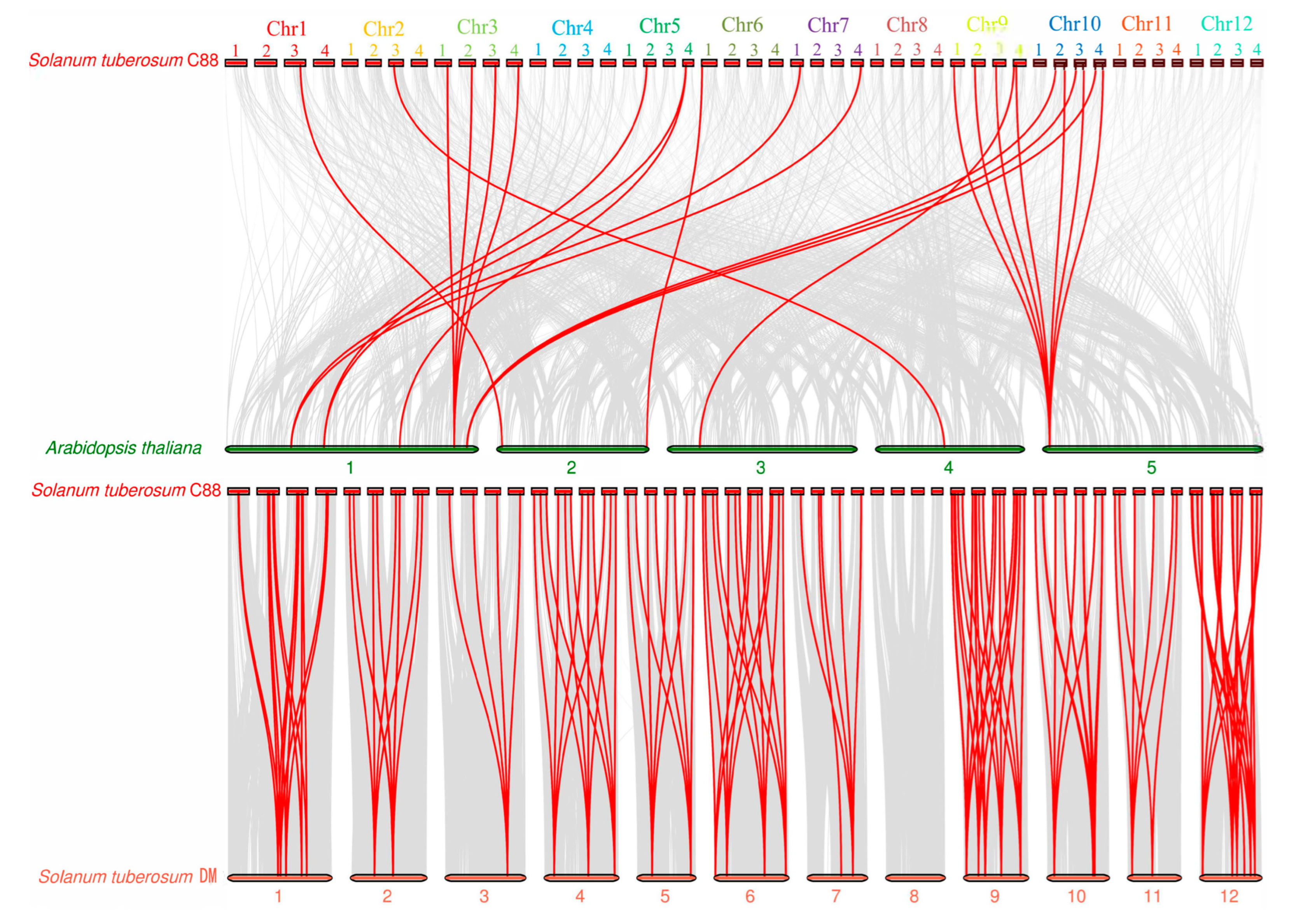 Antioxidants 14 00239 g002