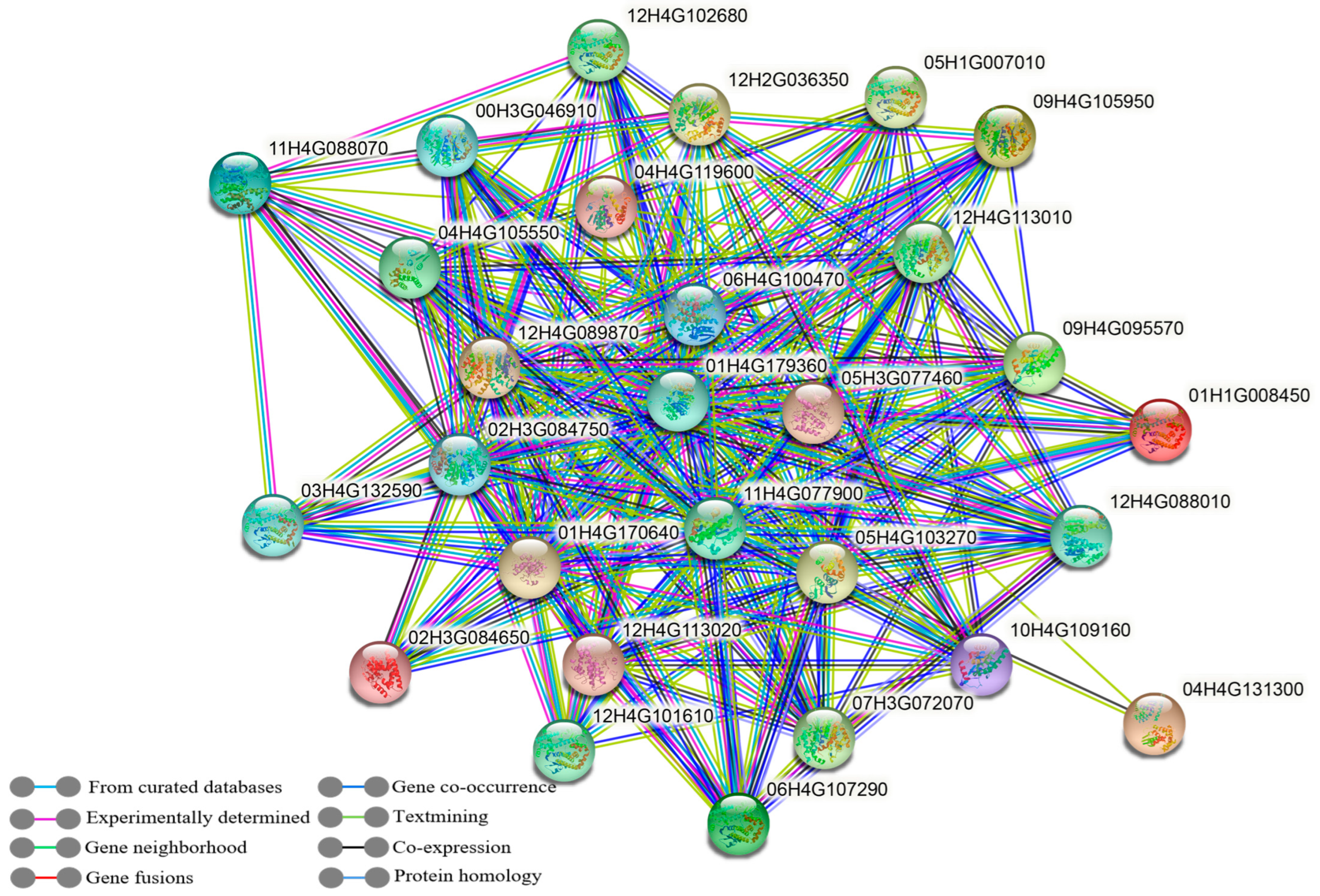 Antioxidants 14 00239 g003