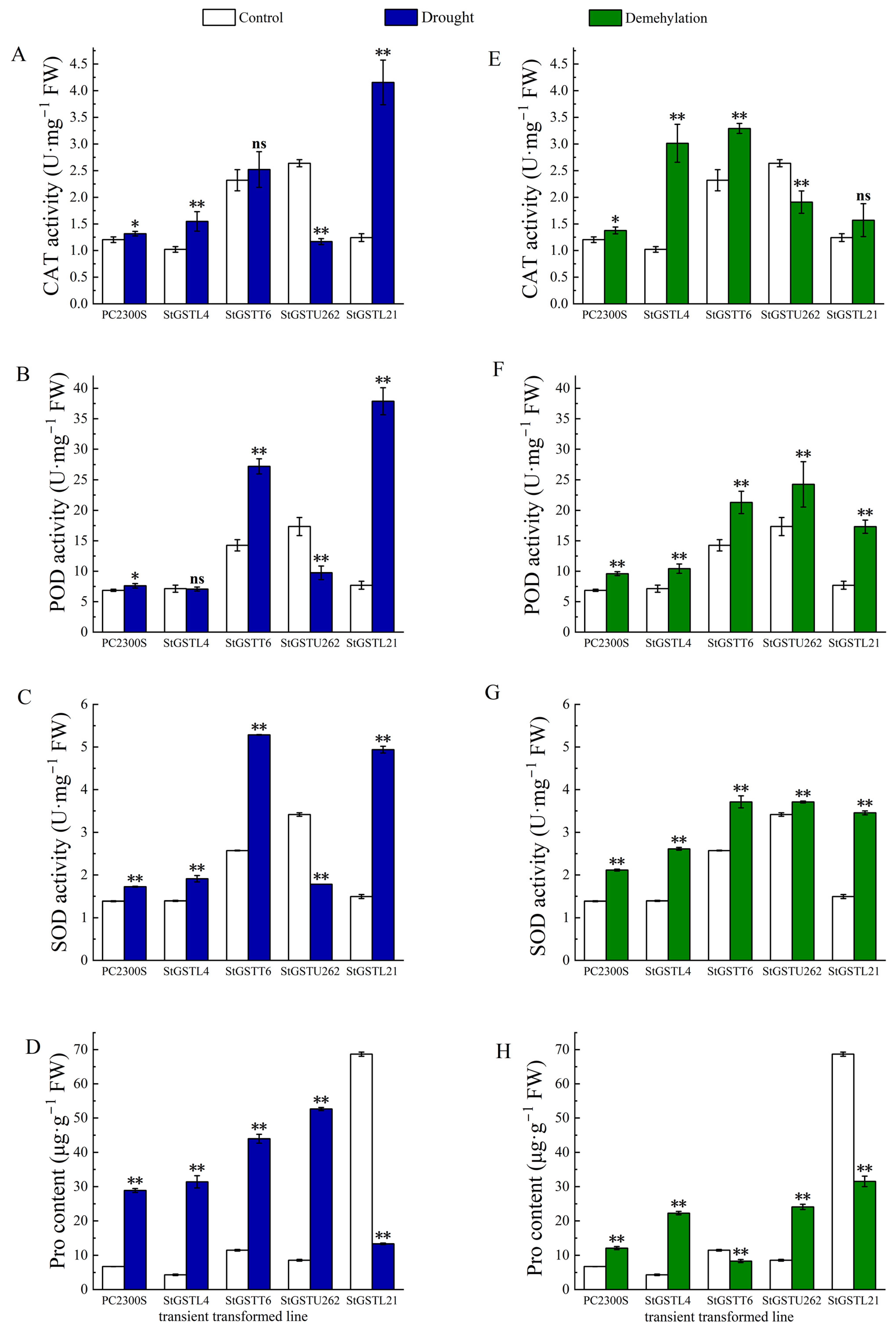 Antioxidants 14 00239 g007