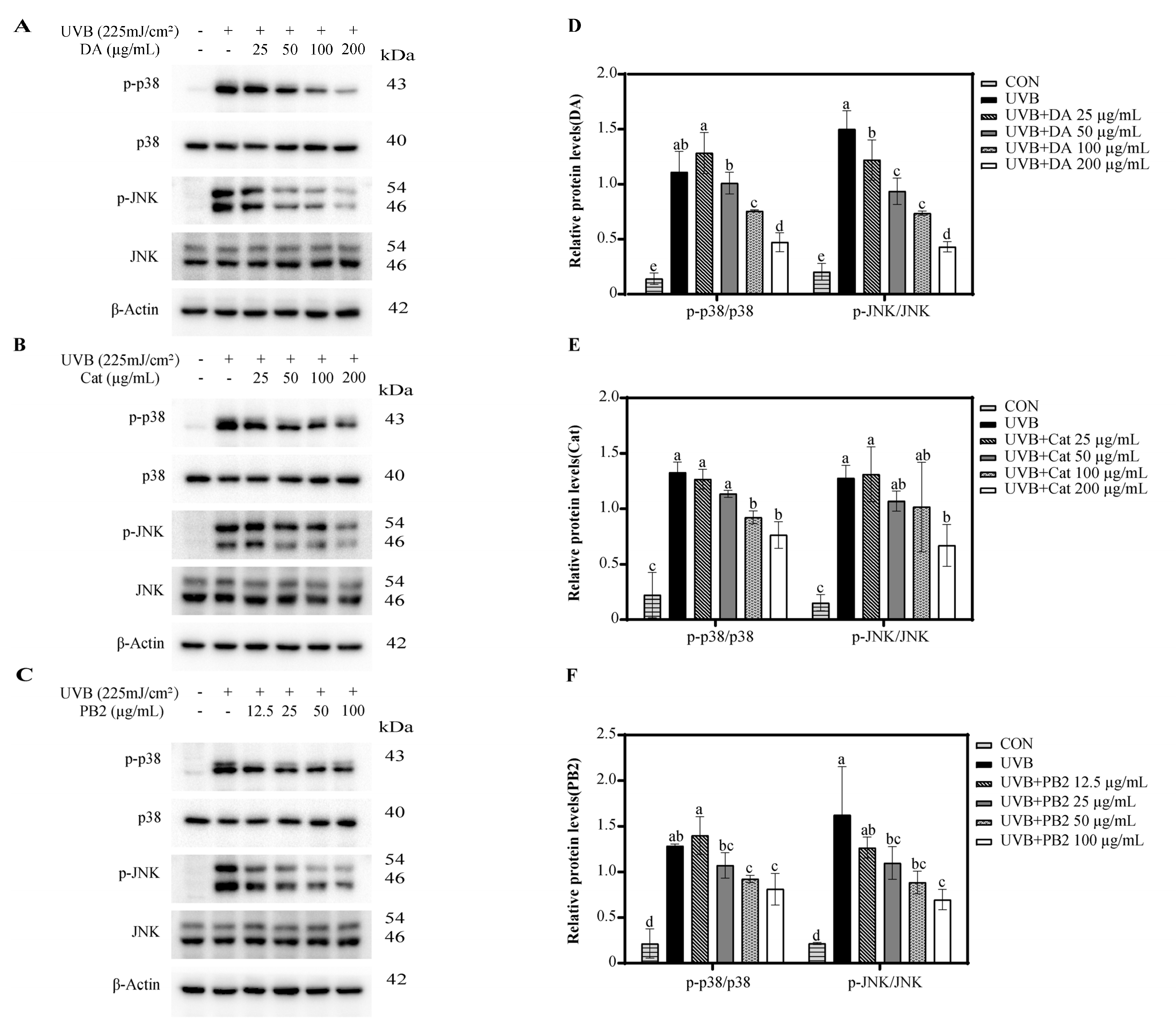Antioxidants 14 00241 g006