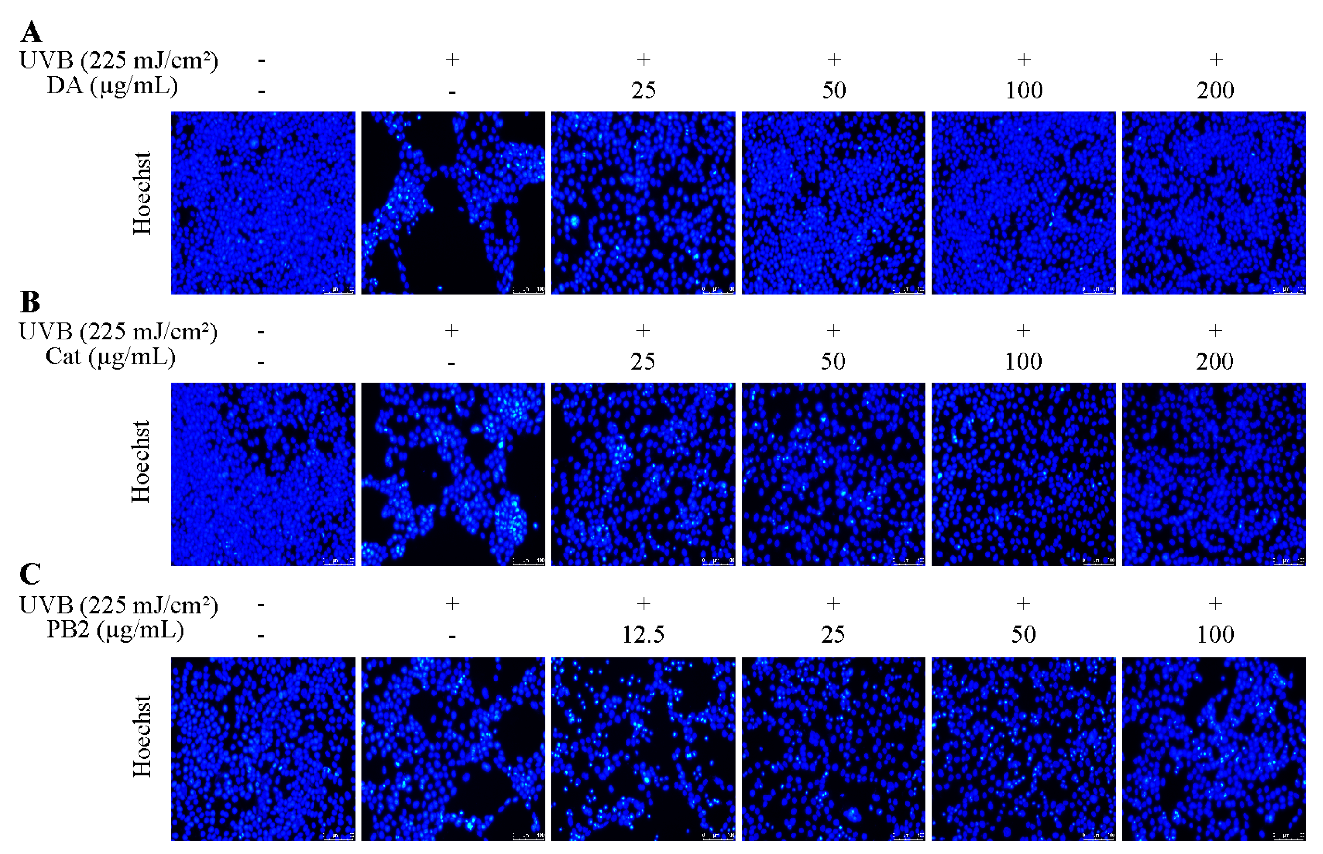 Antioxidants 14 00241 g008