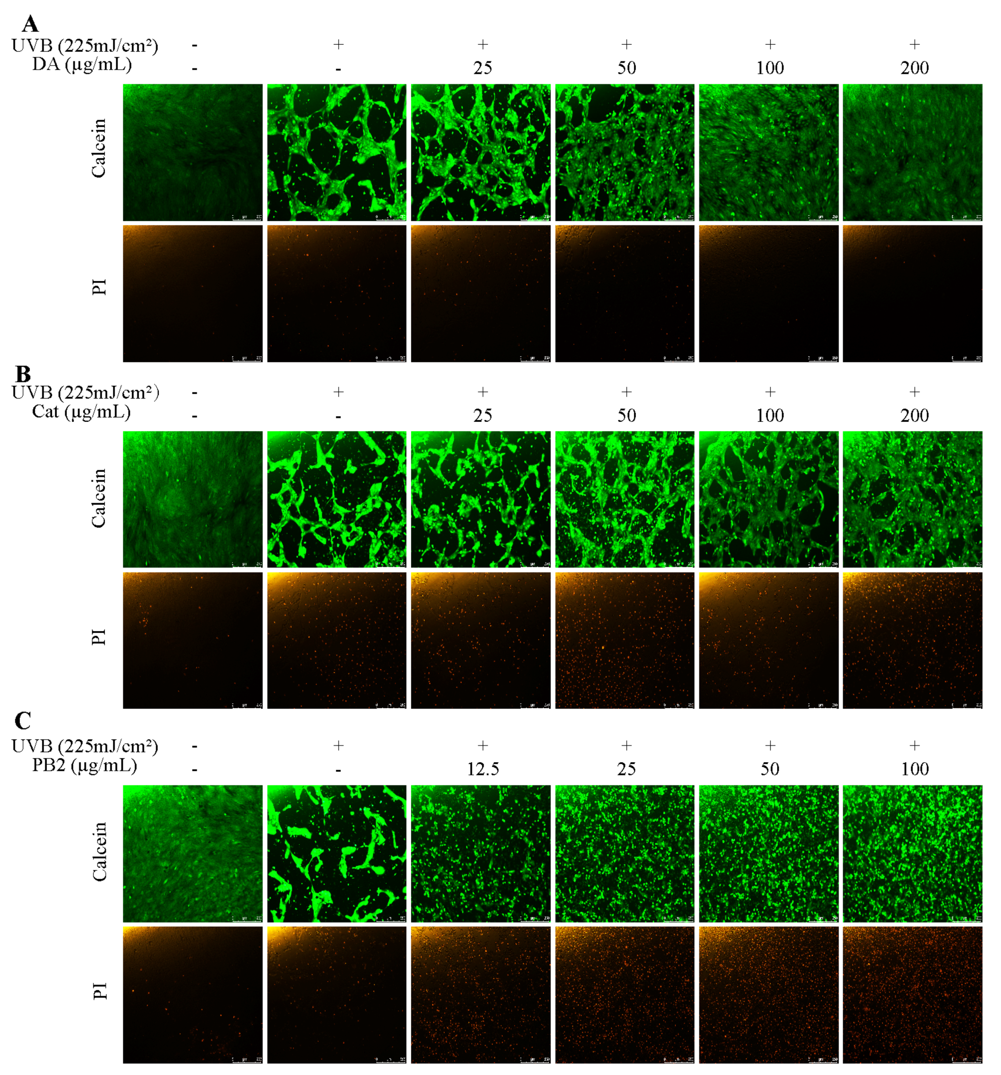 Antioxidants 14 00241 g009