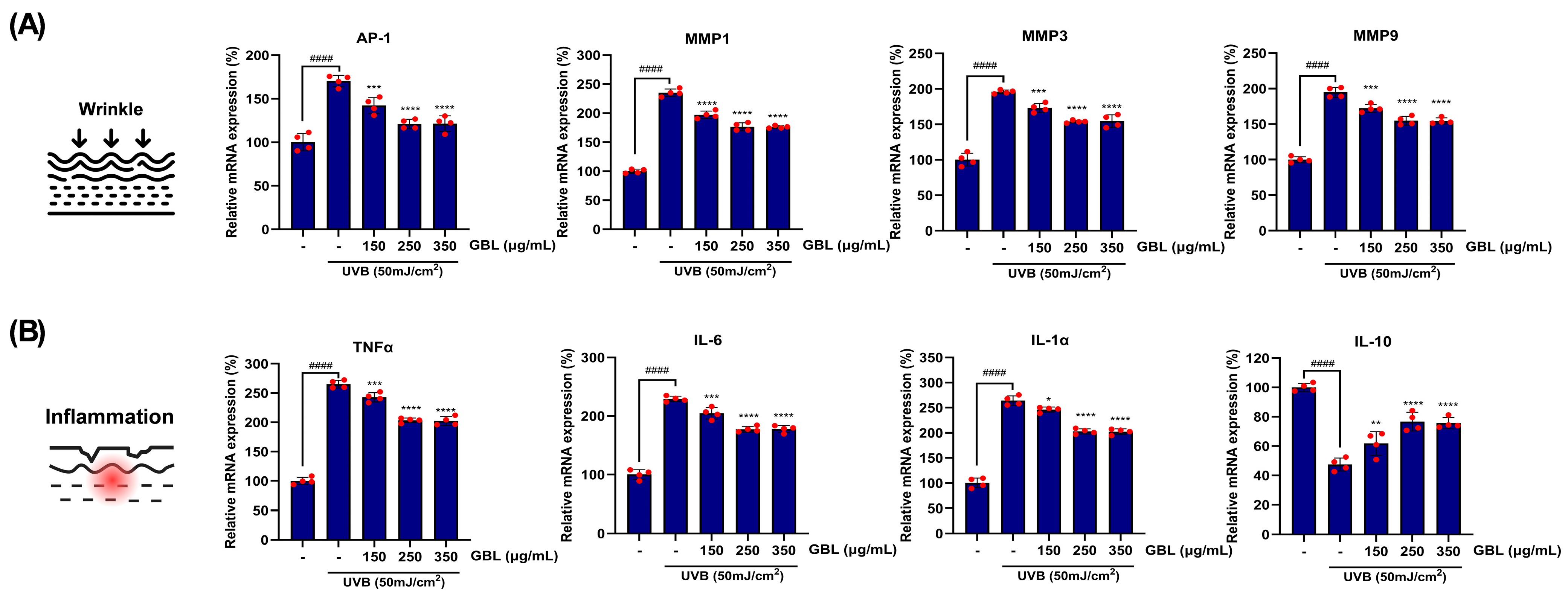 Antioxidants 14 00245 g005