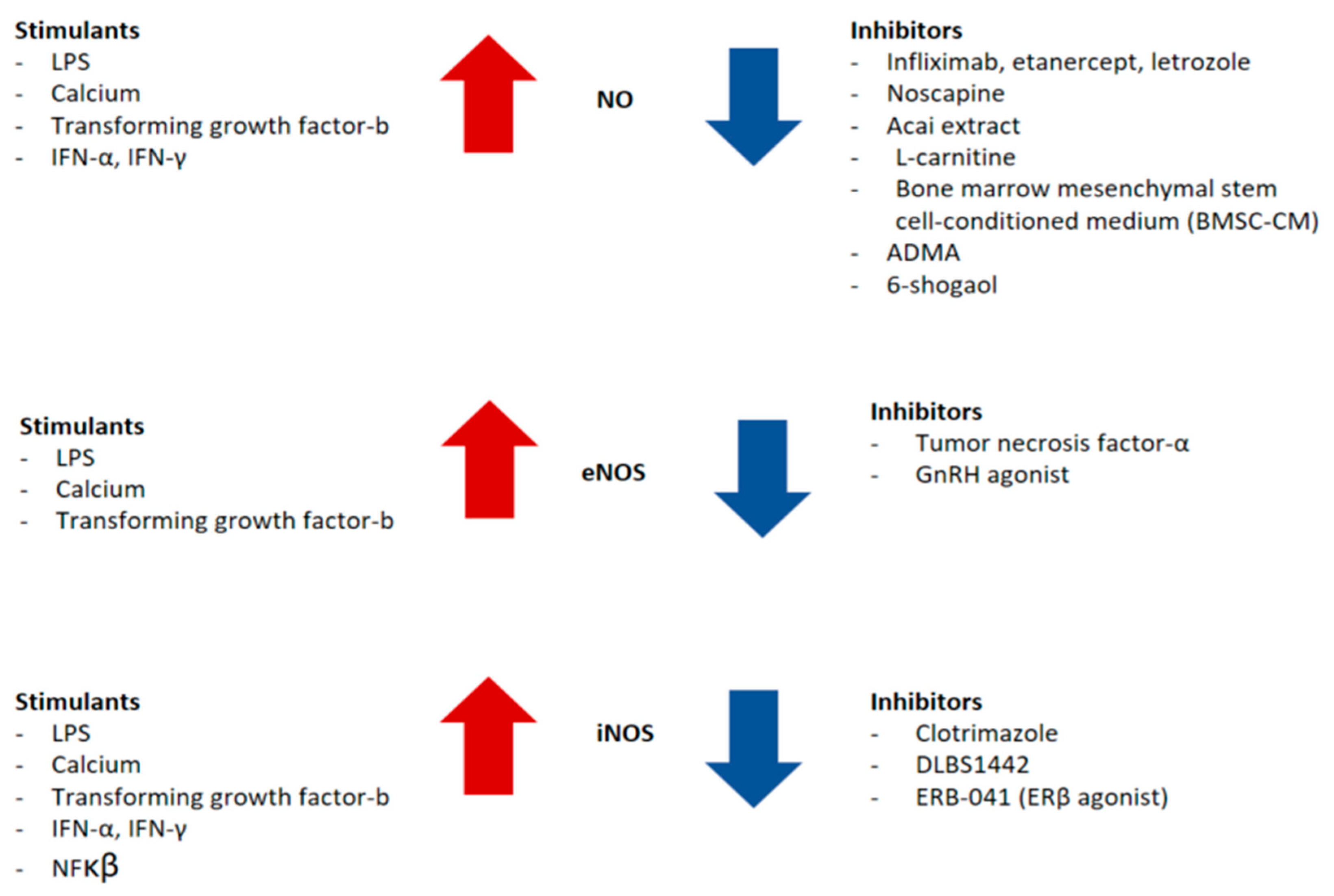 Antioxidants 14 00247 g003