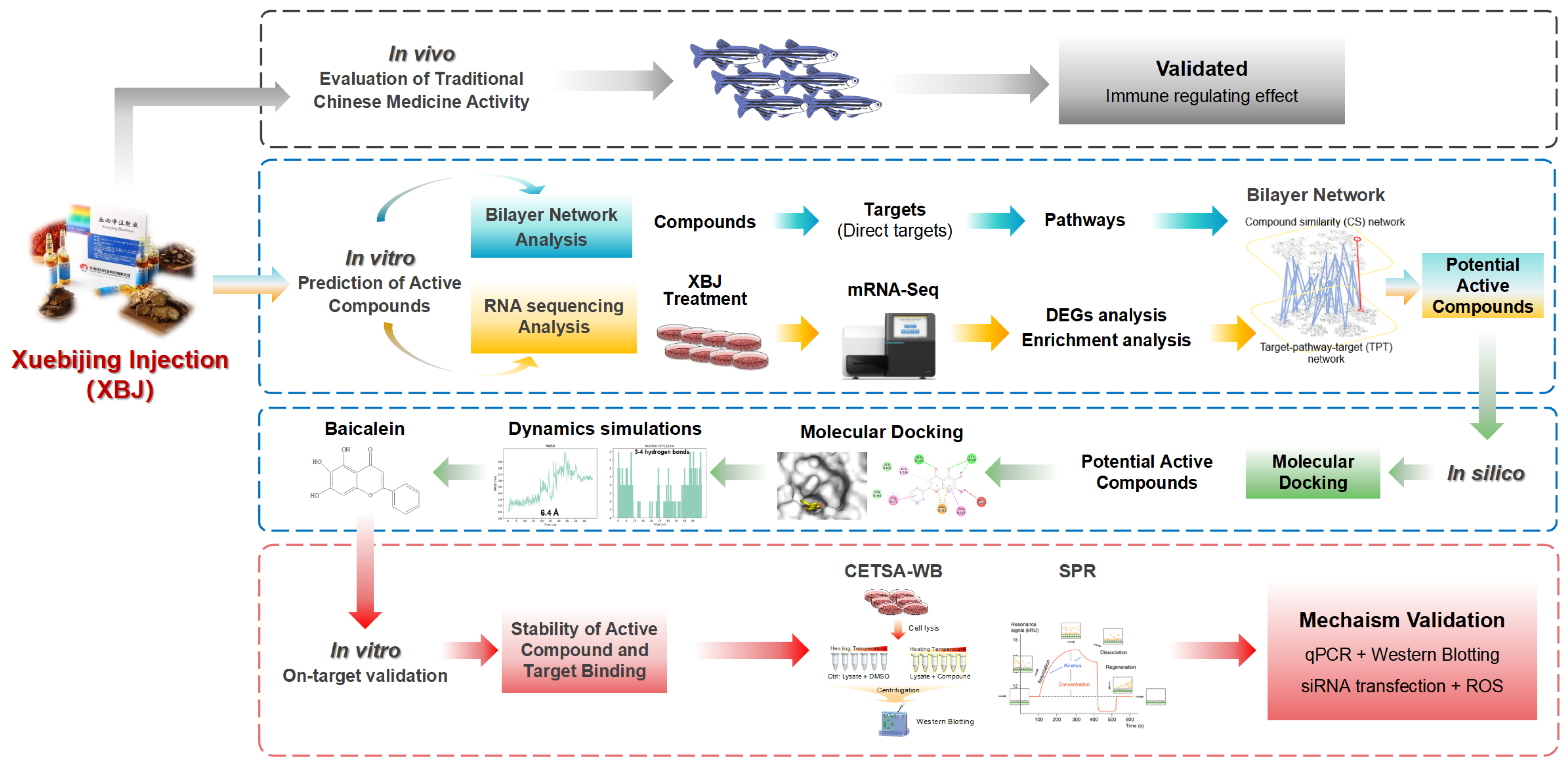 Antioxidants 14 00248 g001