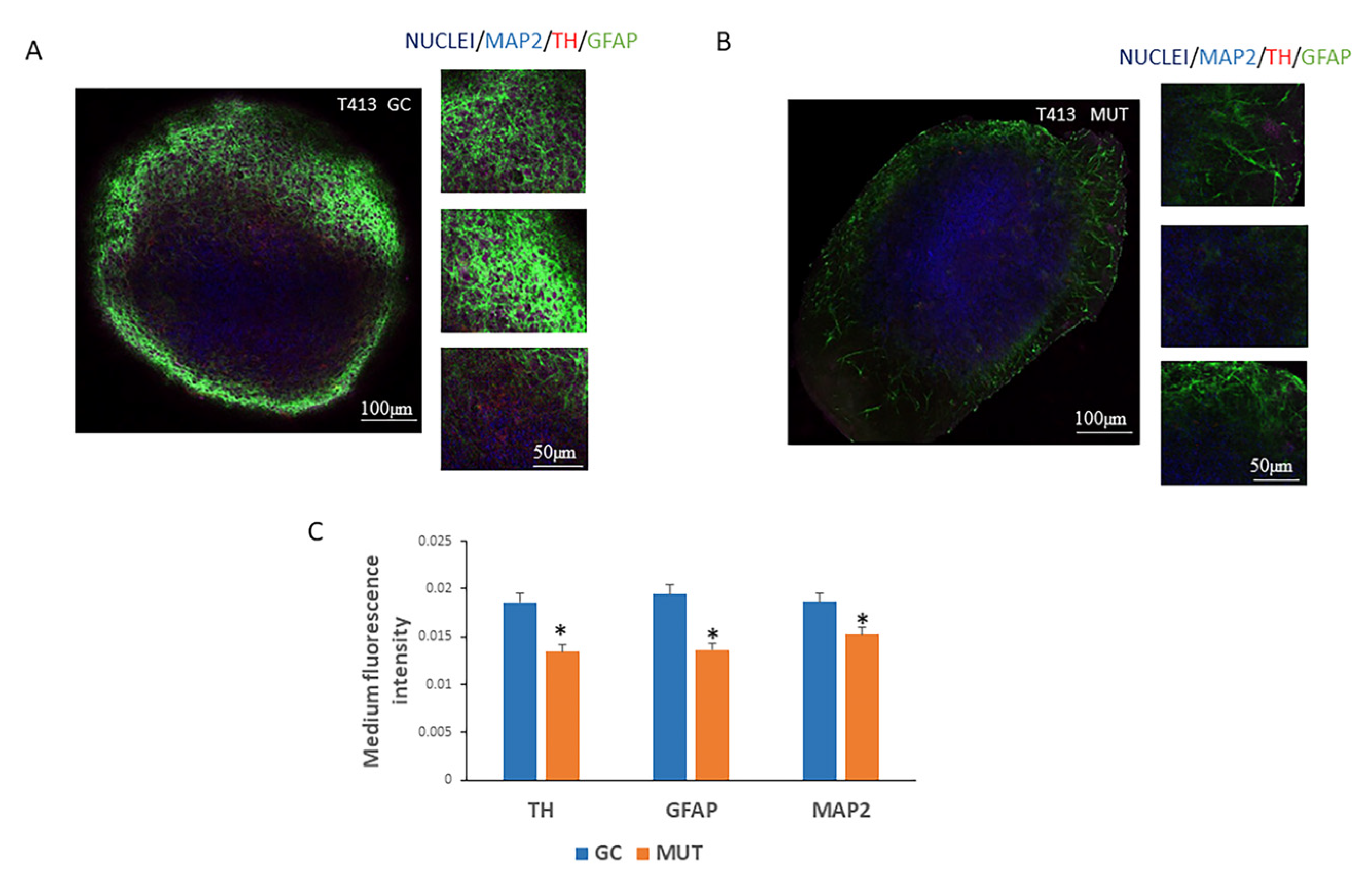 Antioxidants 14 00249 g004