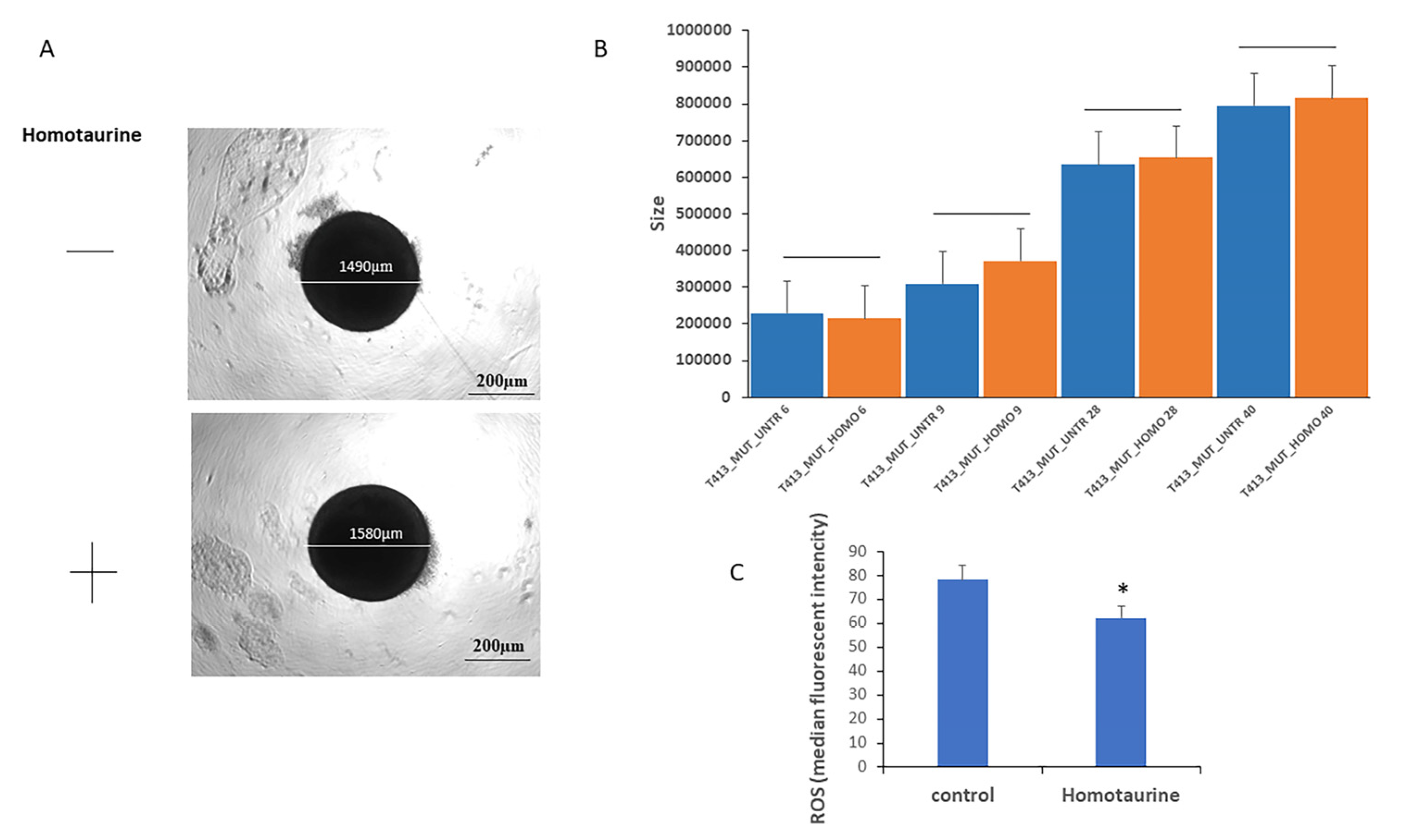 Antioxidants 14 00249 g005