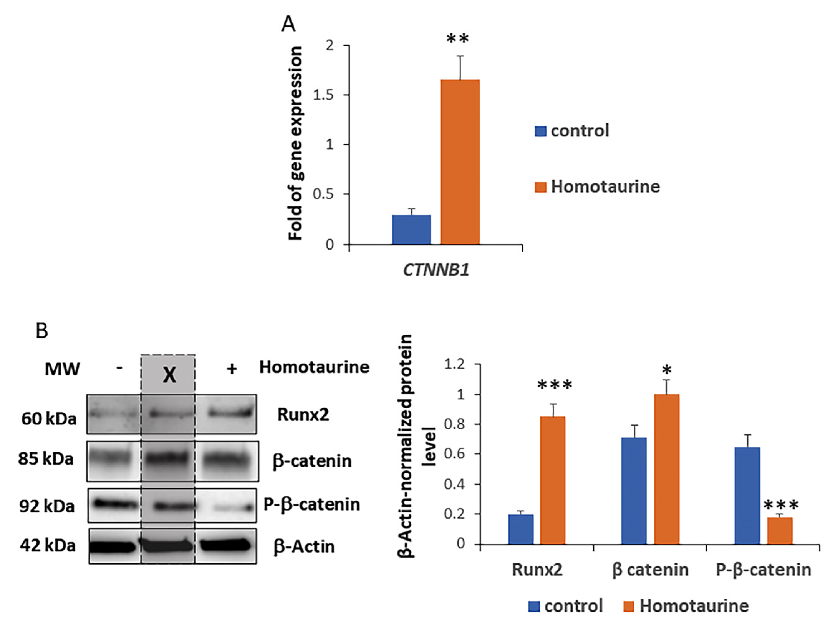 Antioxidants 14 00249 g006