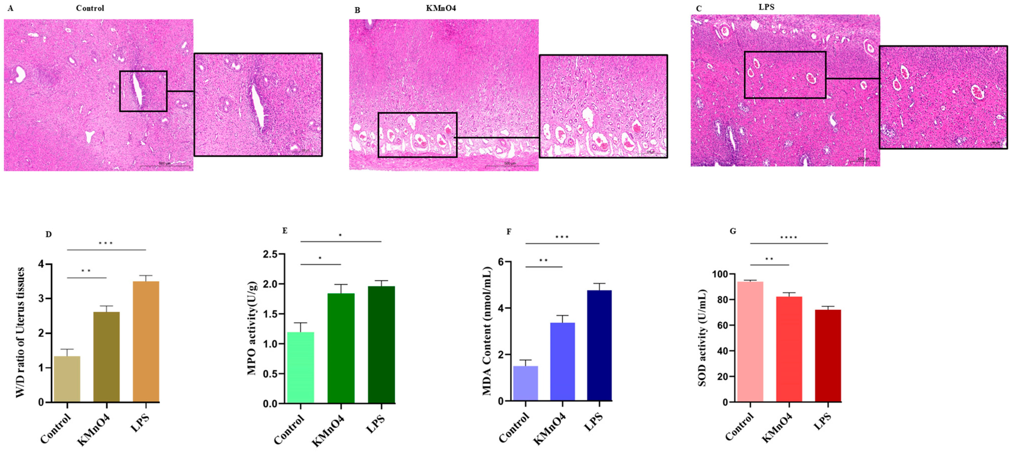 Antioxidants 14 00251 g001