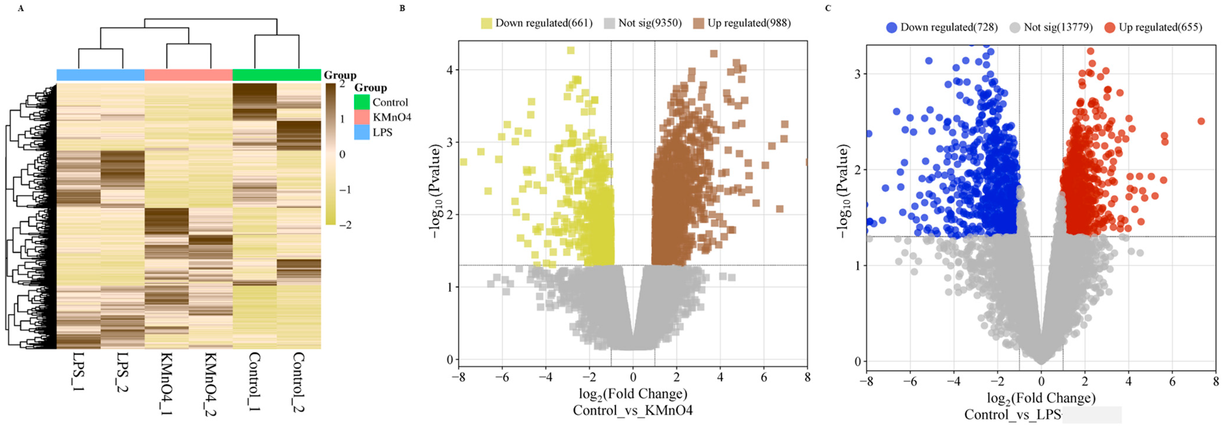 Antioxidants 14 00251 g003