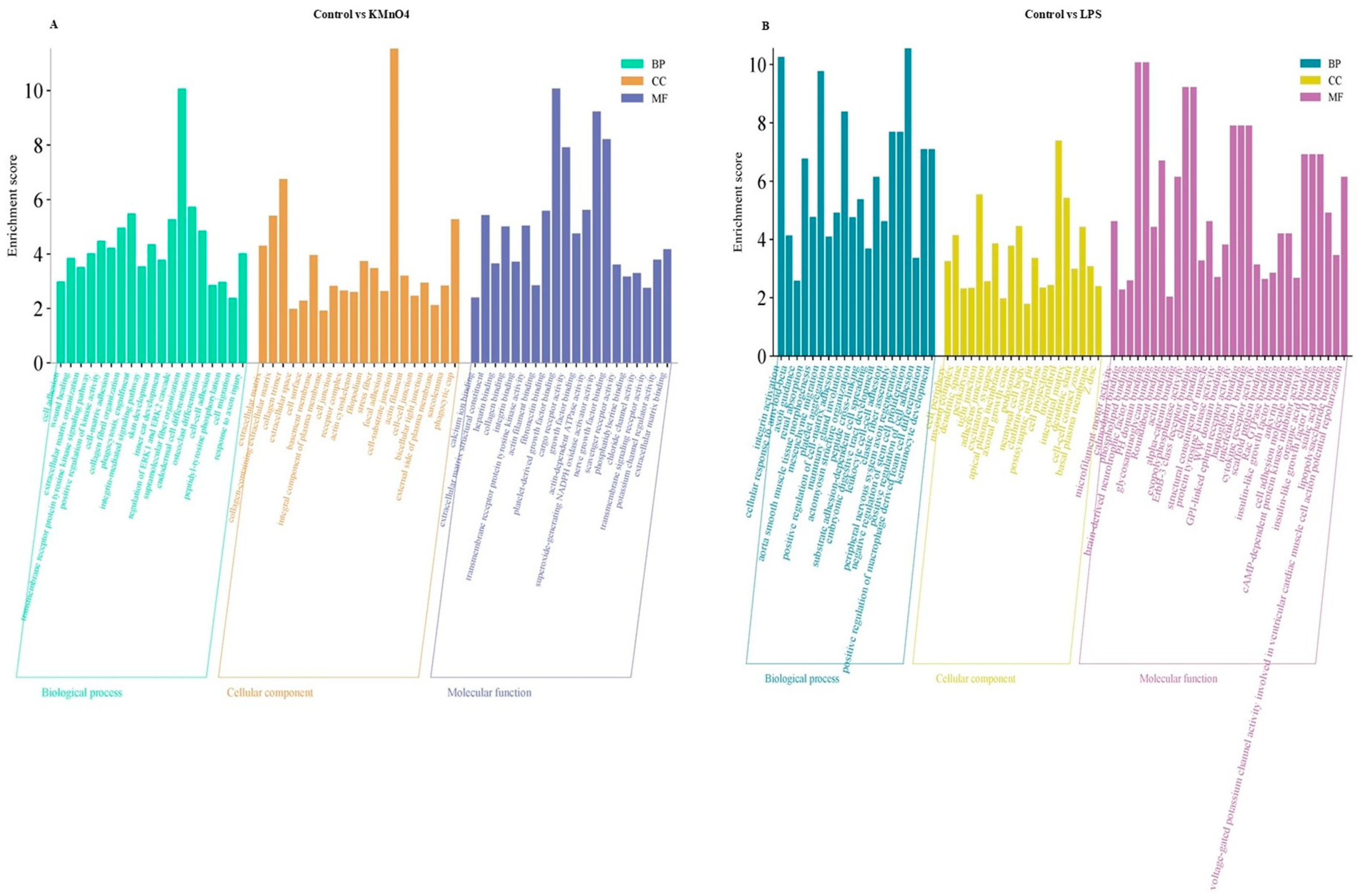 Antioxidants 14 00251 g004