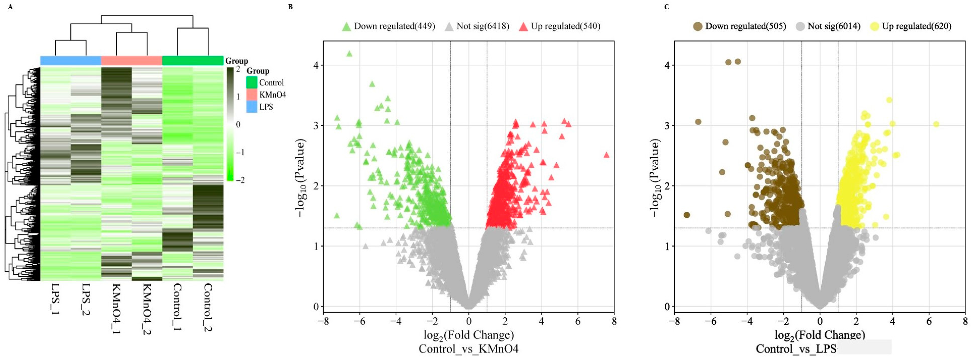 Antioxidants 14 00251 g006