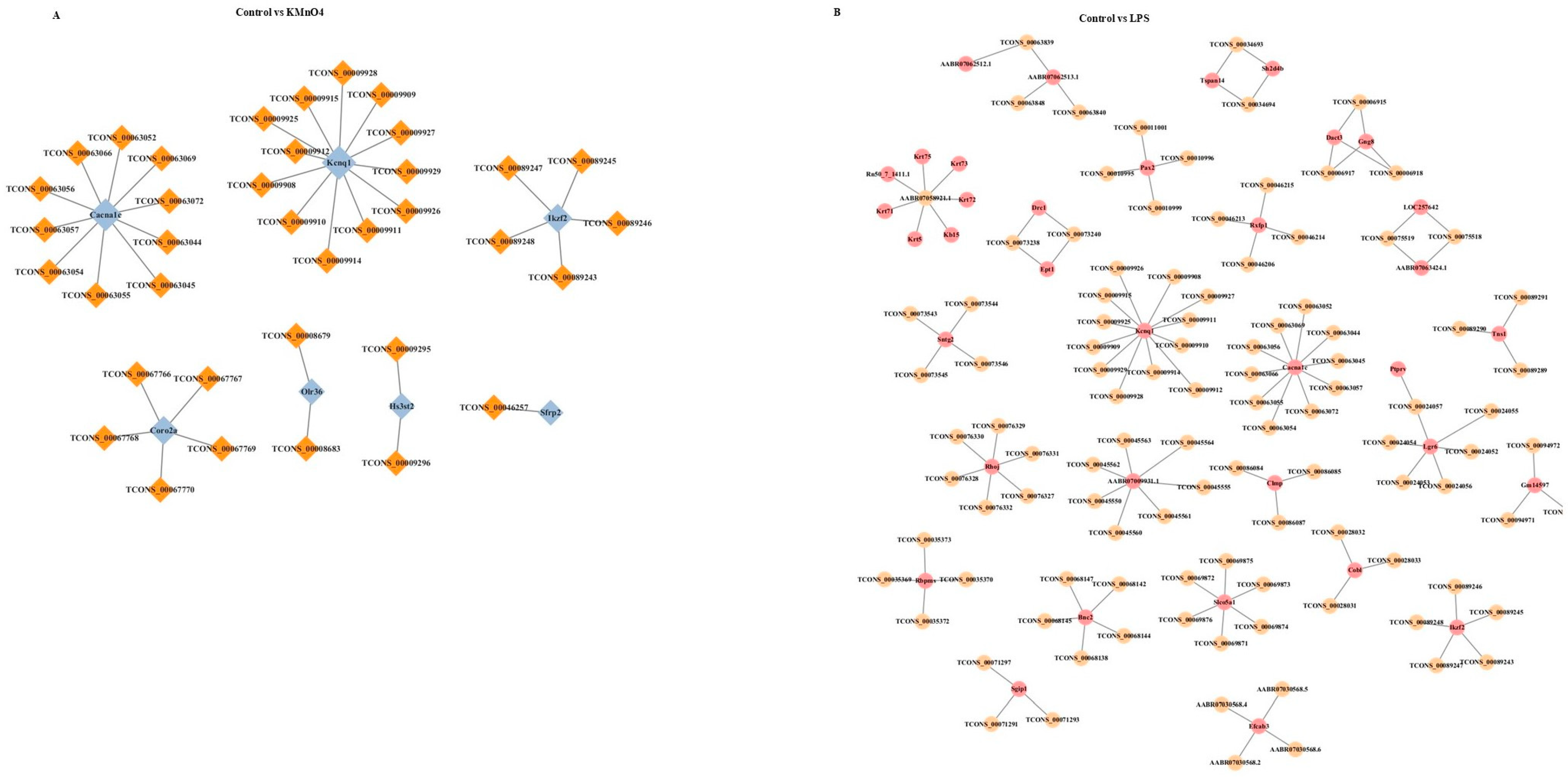 Antioxidants 14 00251 g007